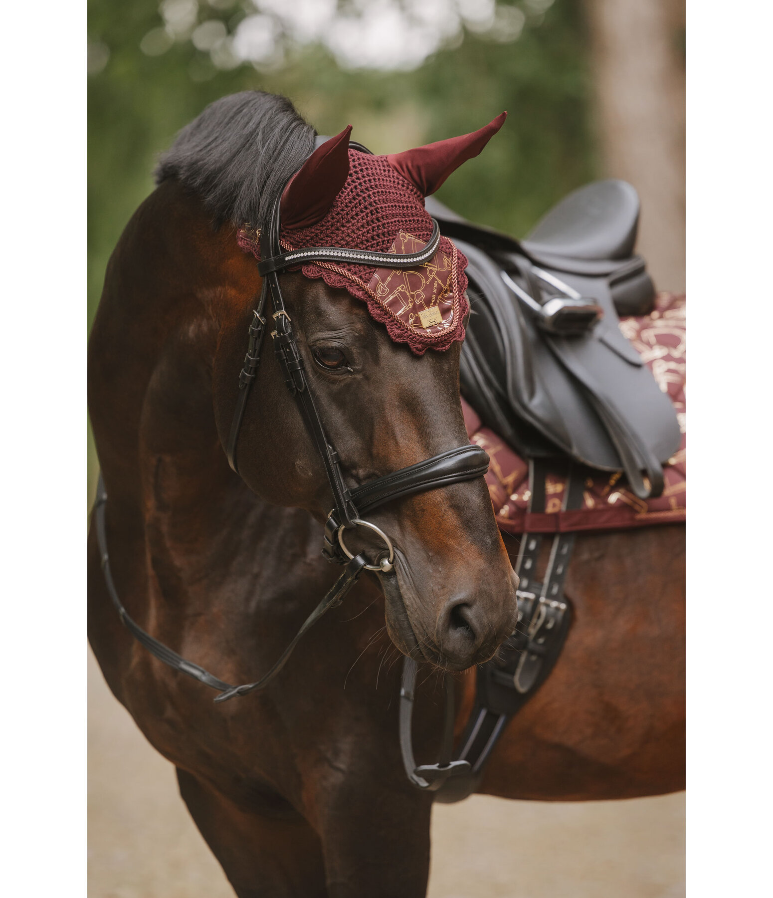 Fly Veil Signature III