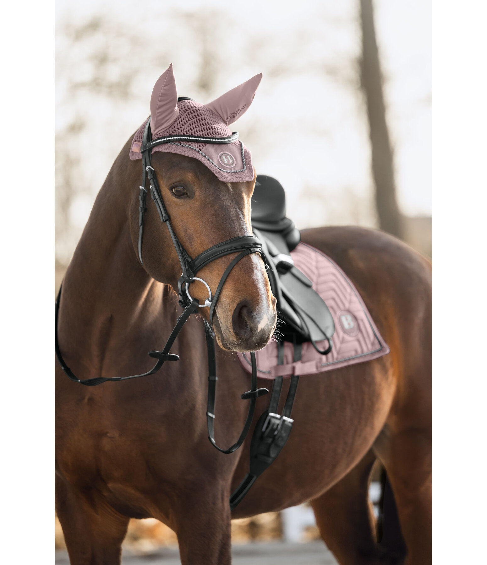 Fly Veil Velvet