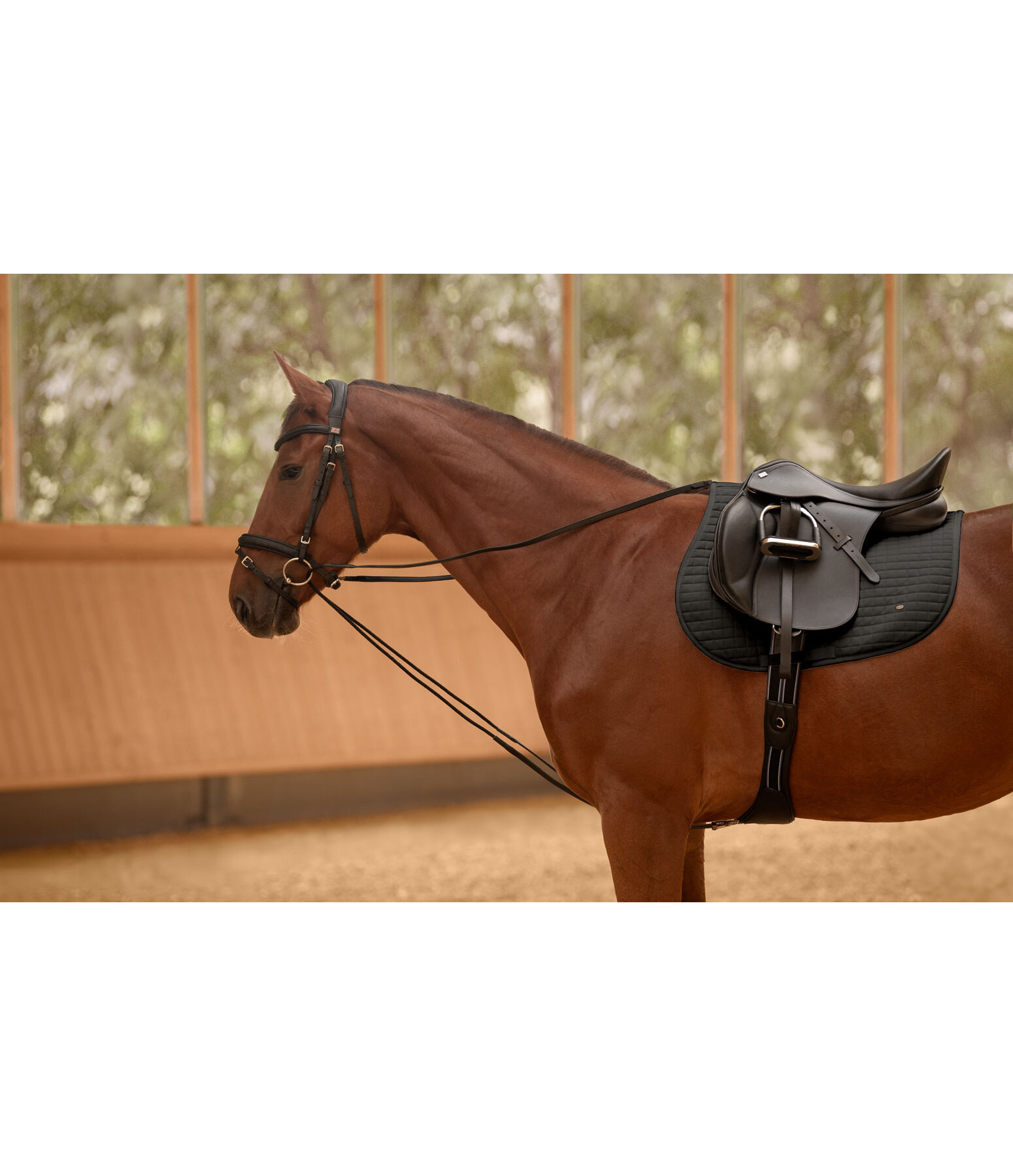 Draw Reins