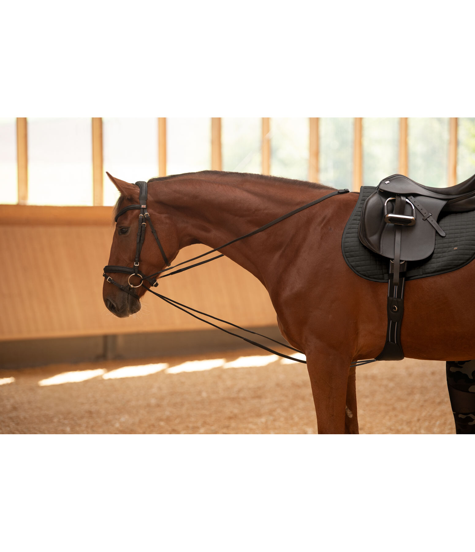Draw Reins