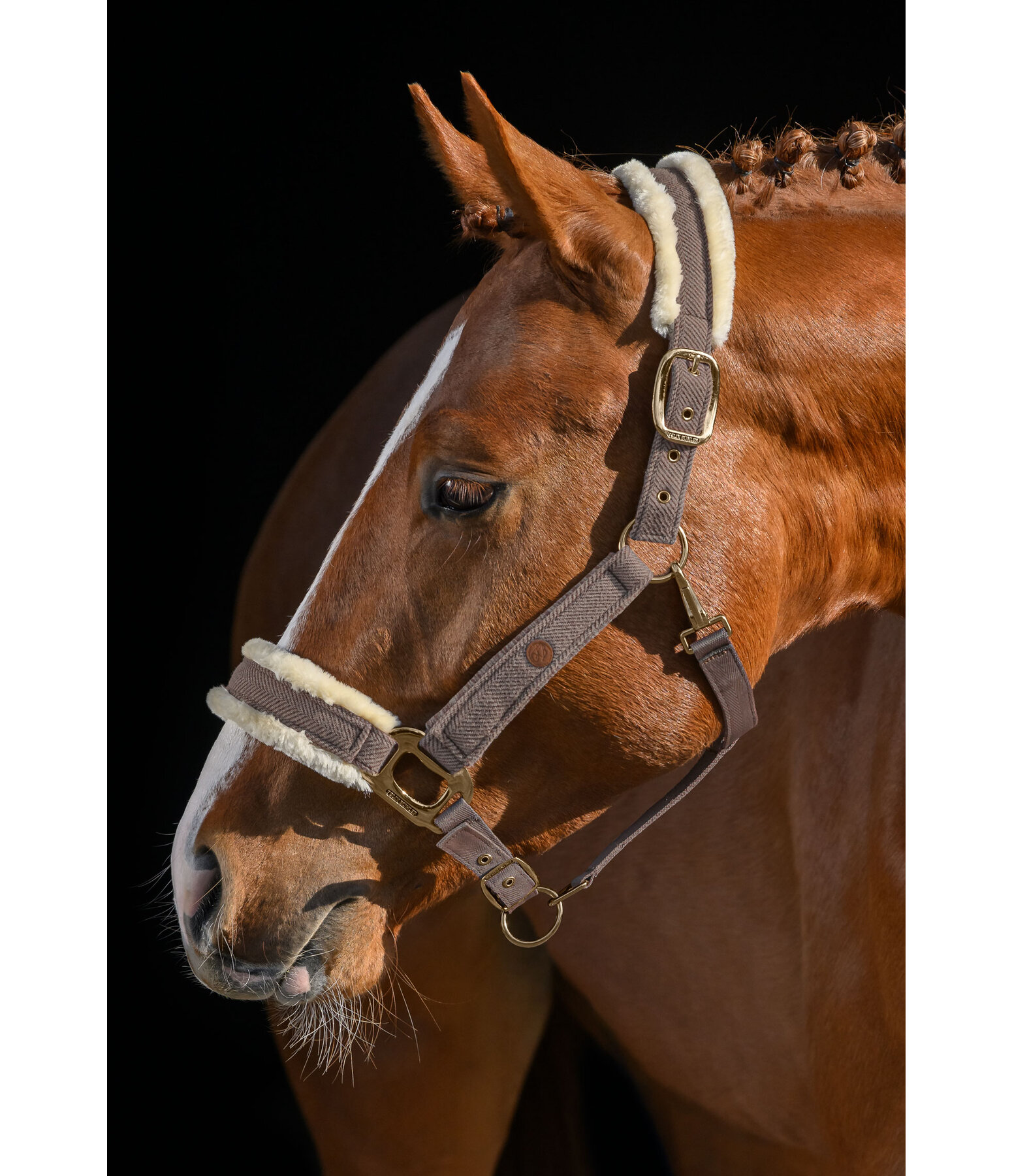 Headcollar Knitted Collection