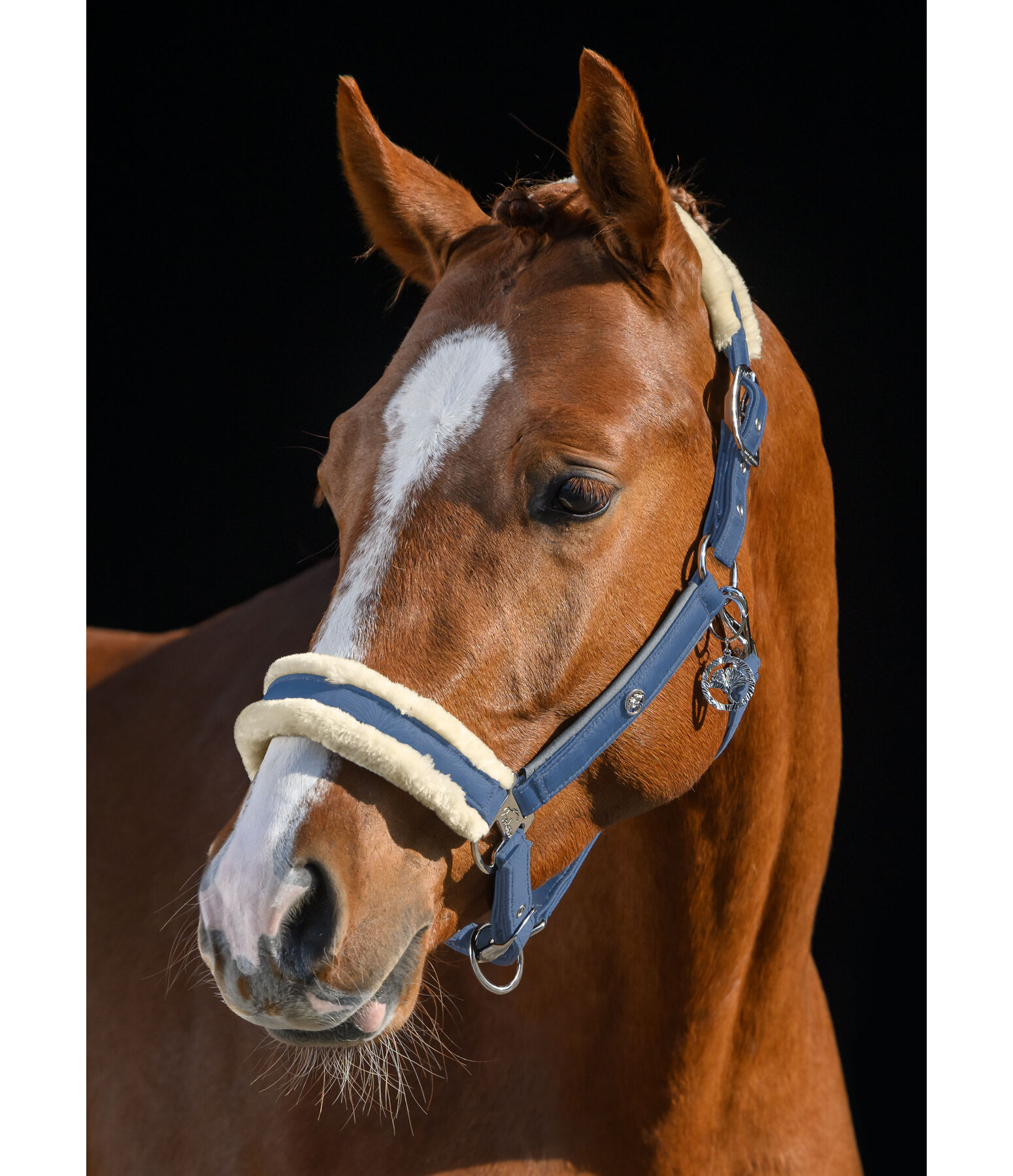 Headcollar Hope