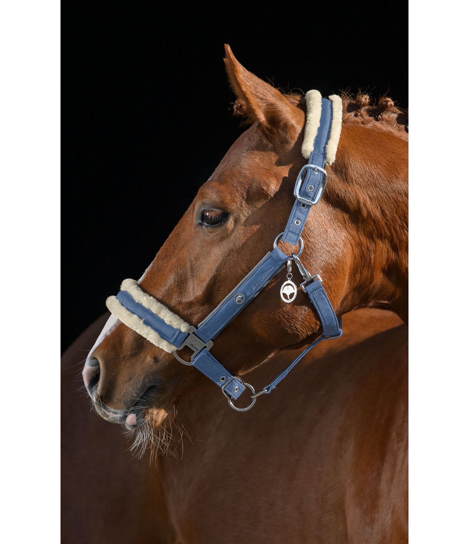 Headcollar Hope