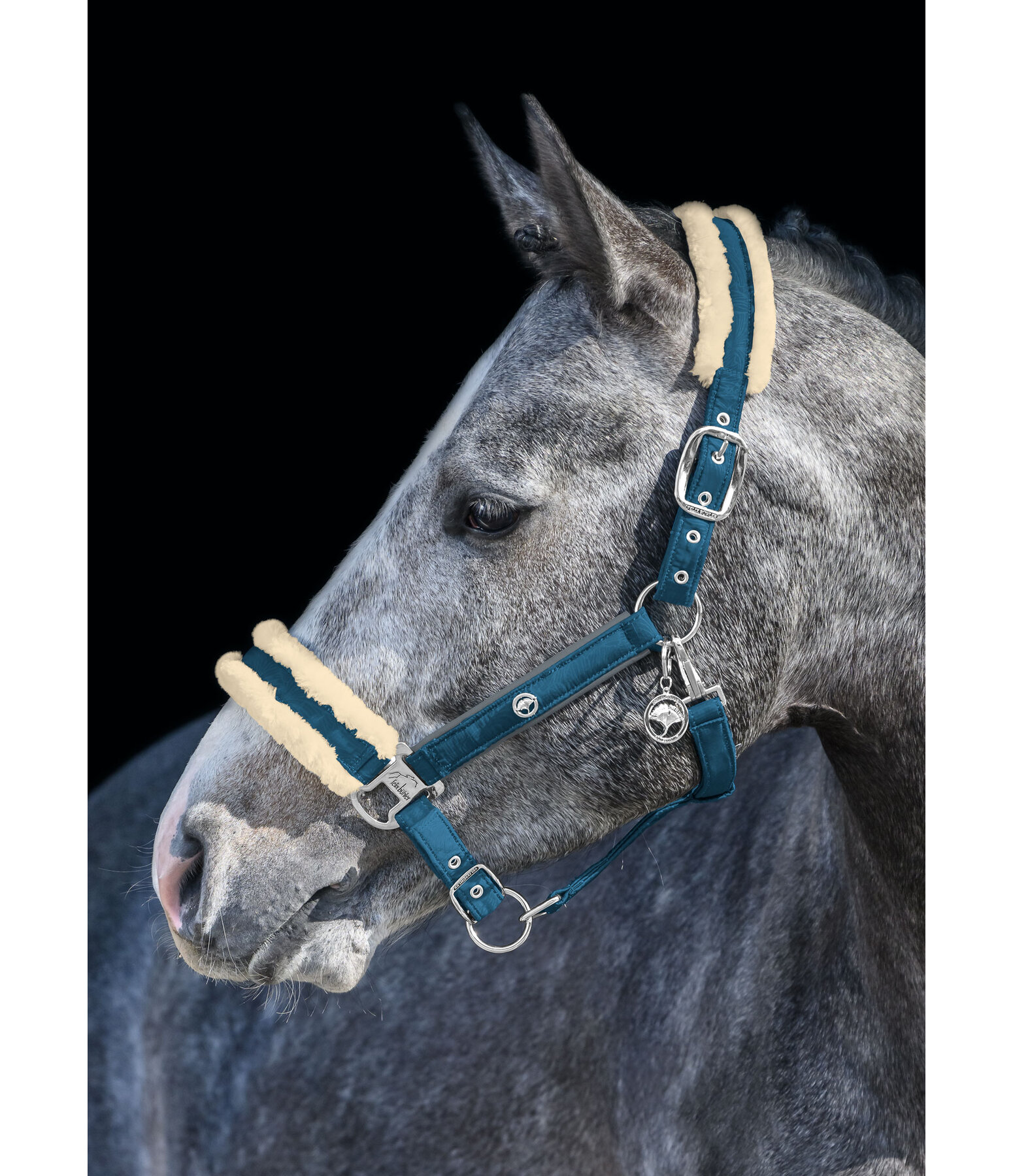 Headcollar Hope