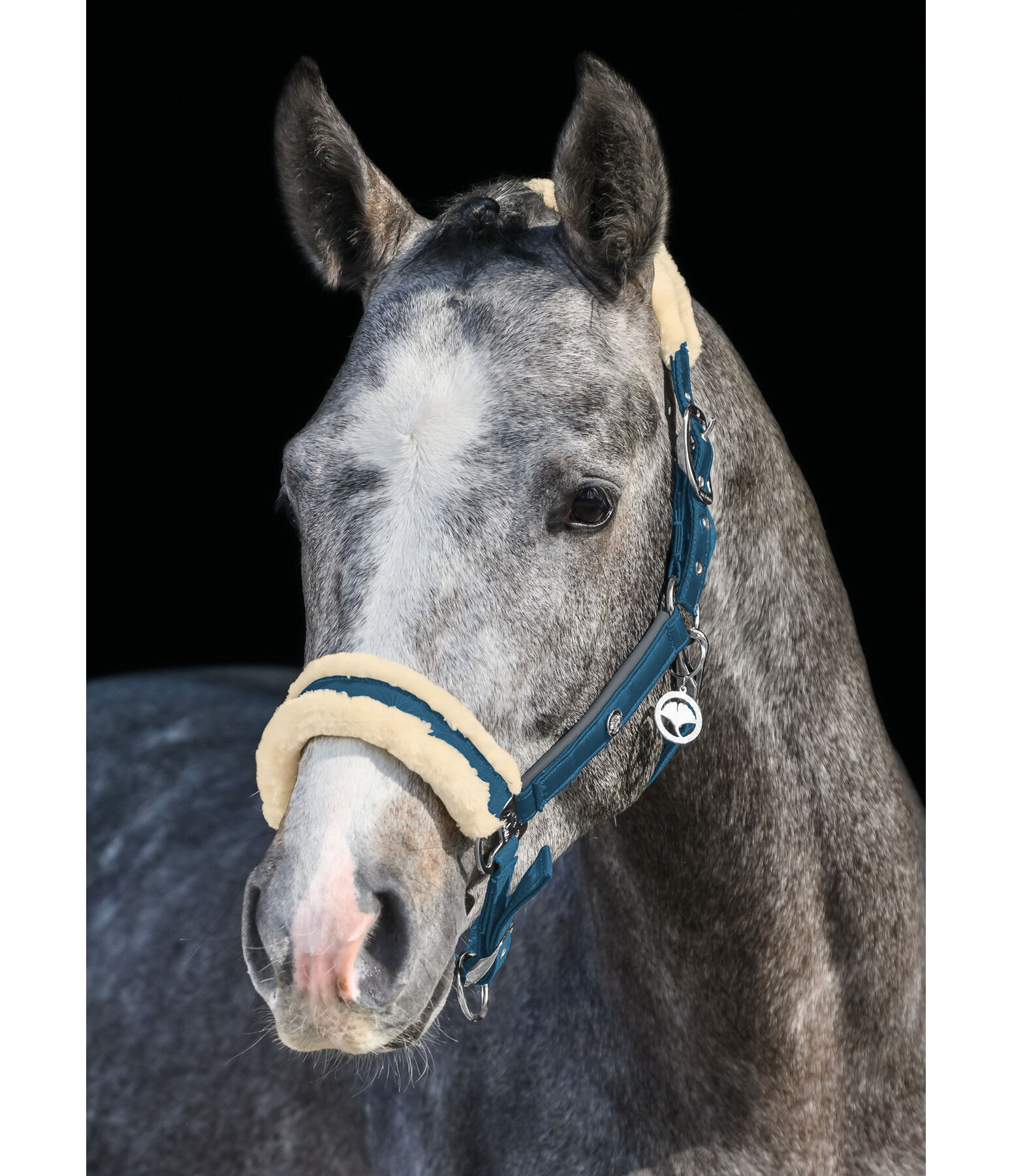 Headcollar Hope