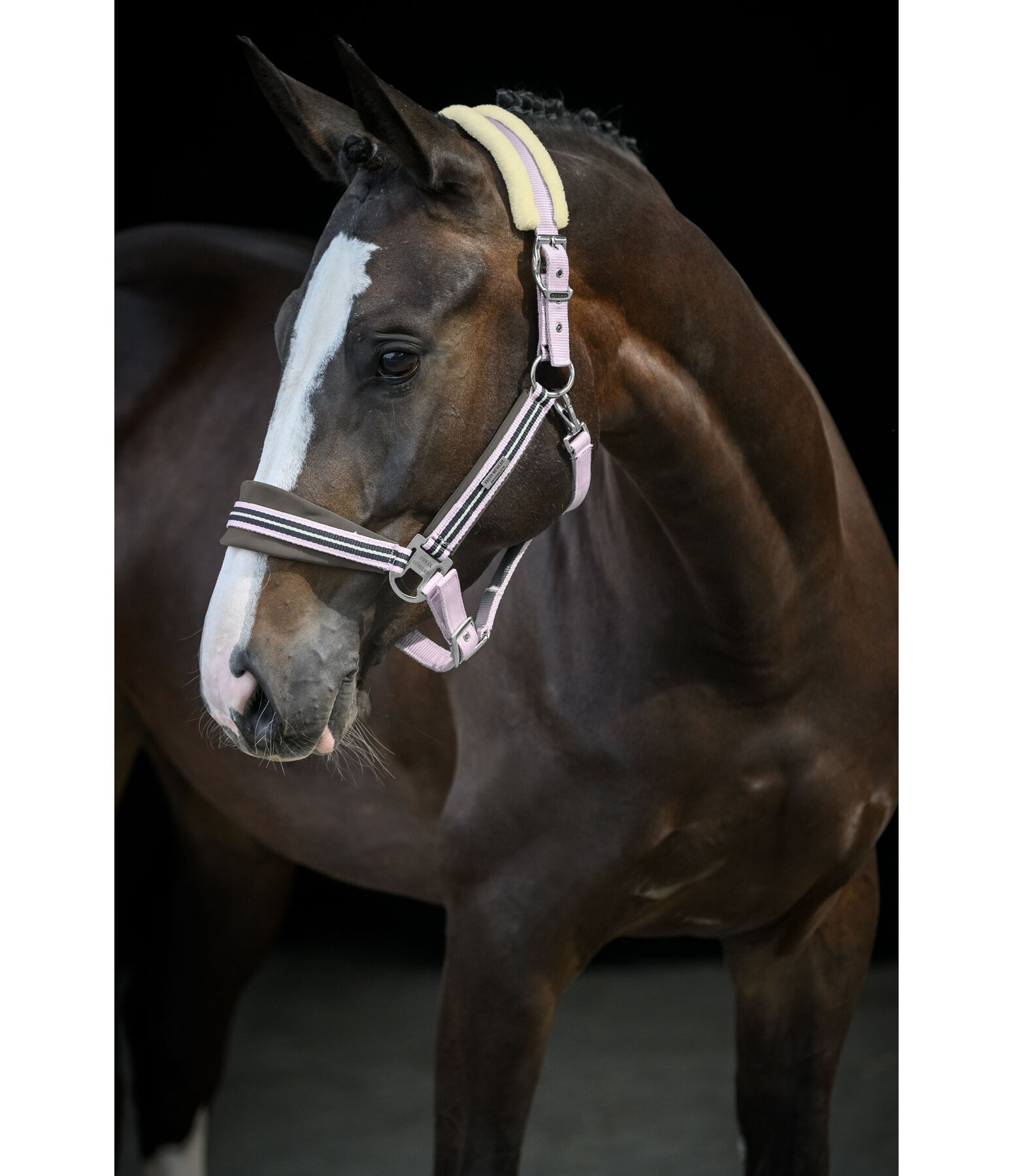 Headcollar Swiss Design