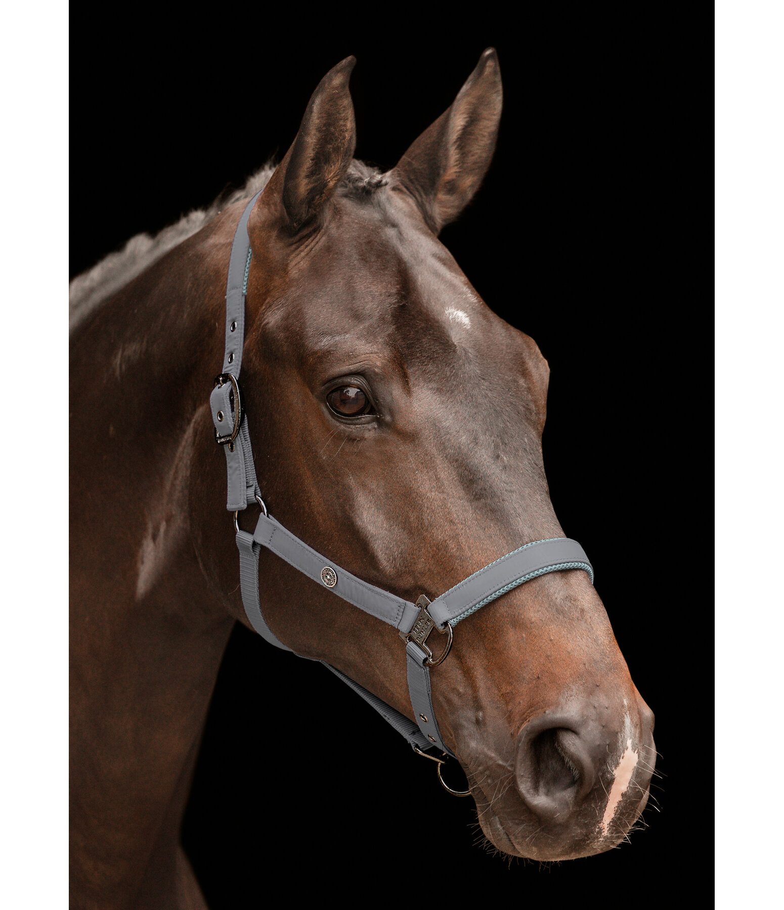 Headcollar Astro