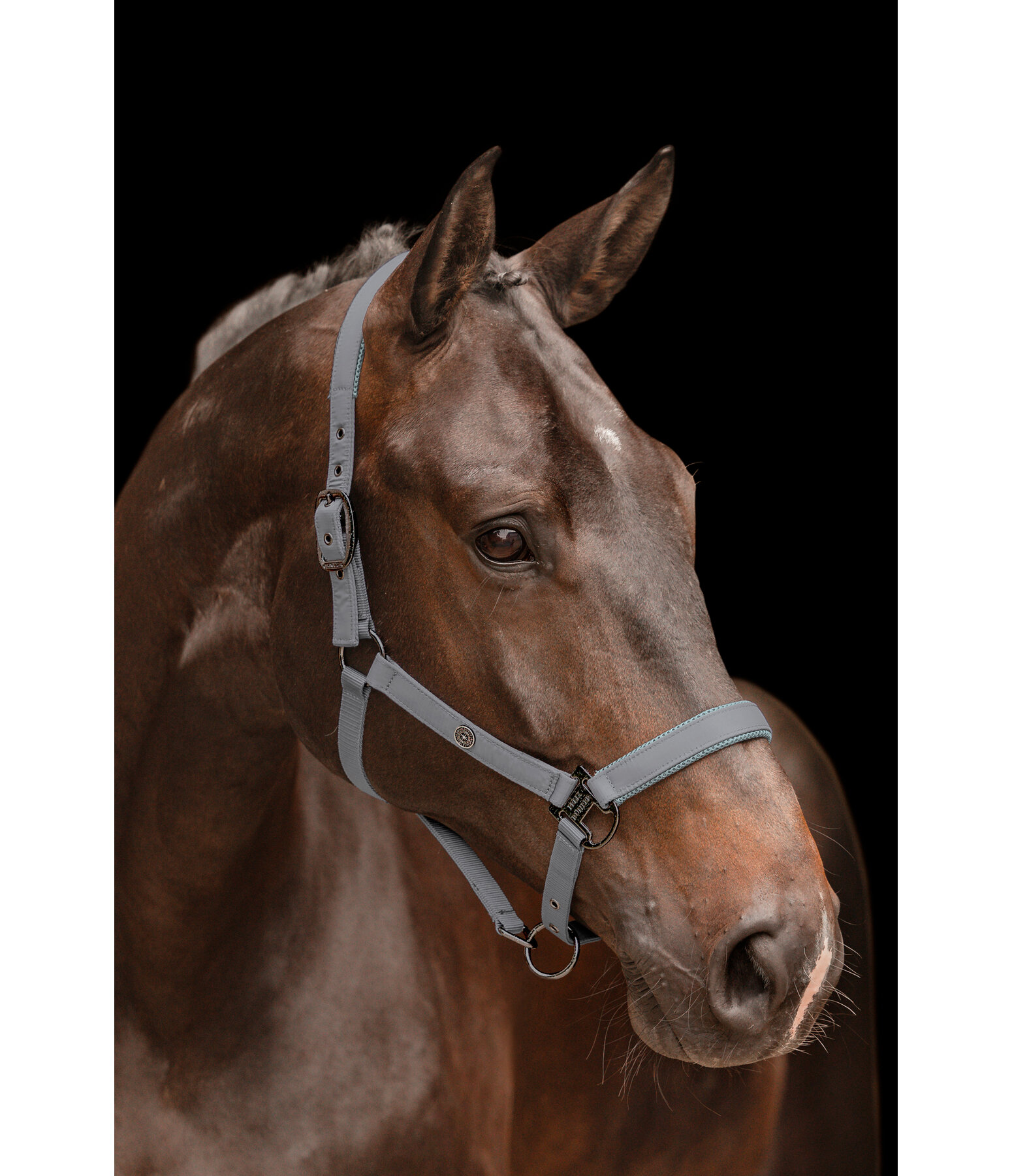 Headcollar Astro