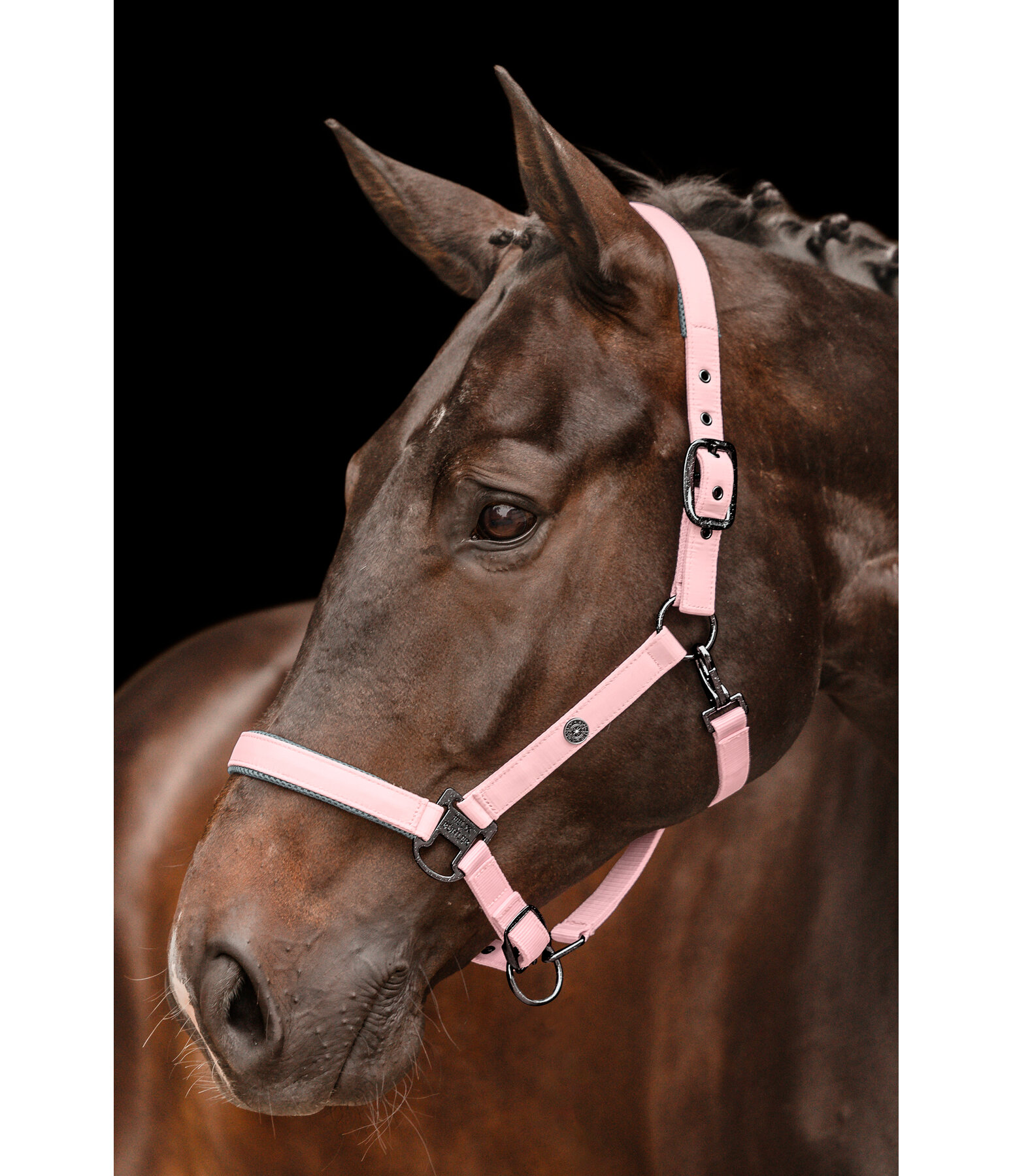 Headcollar Astro