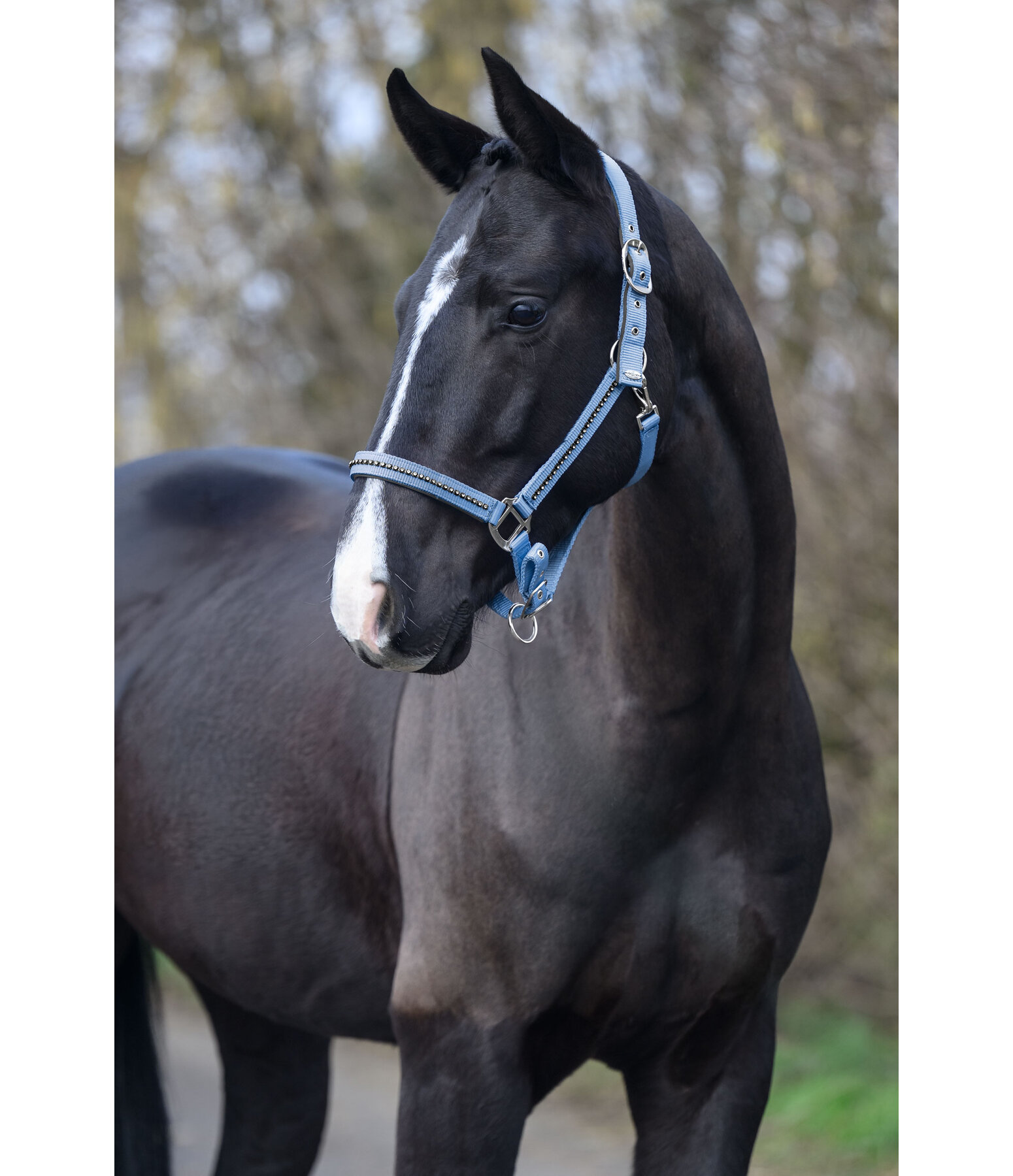 Headcollar Brilliant