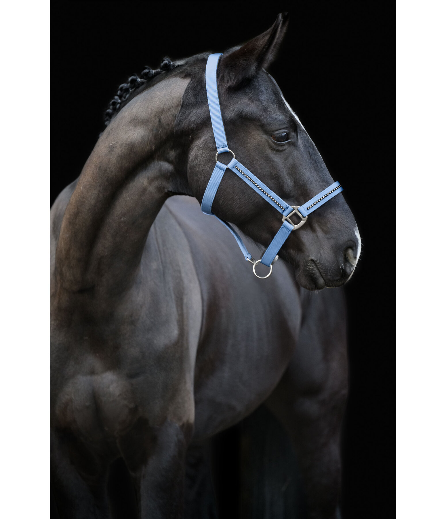 Headcollar Brilliant