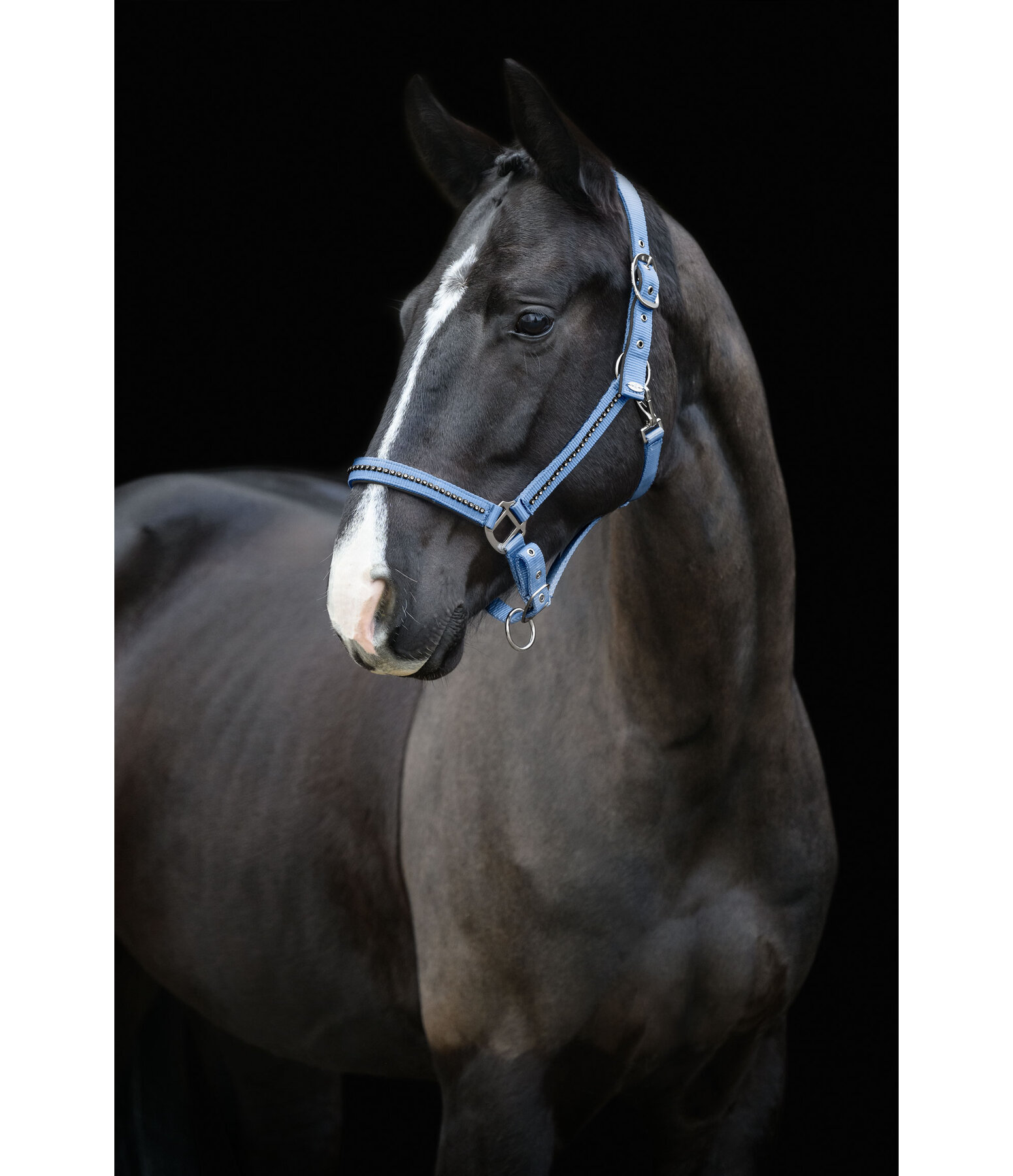 Headcollar Brilliant