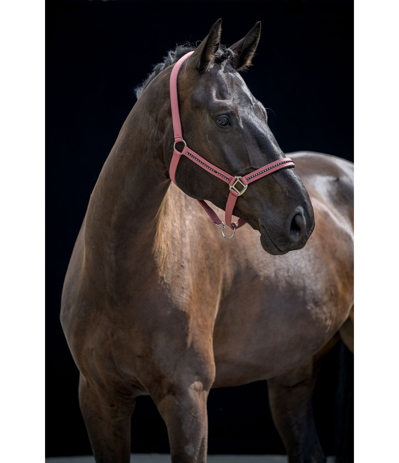 Headcollar Brilliant