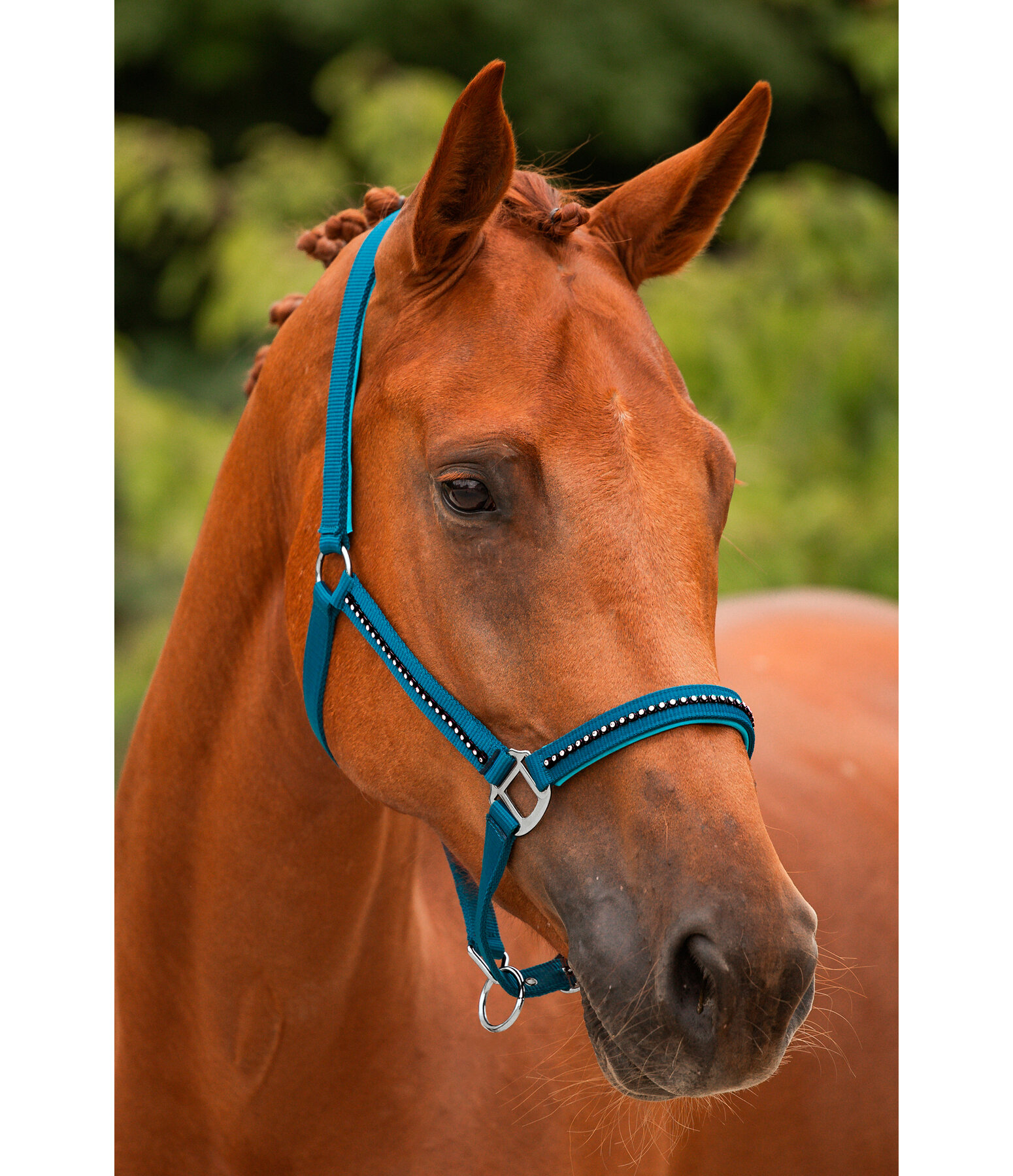 Headcollar Brilliant