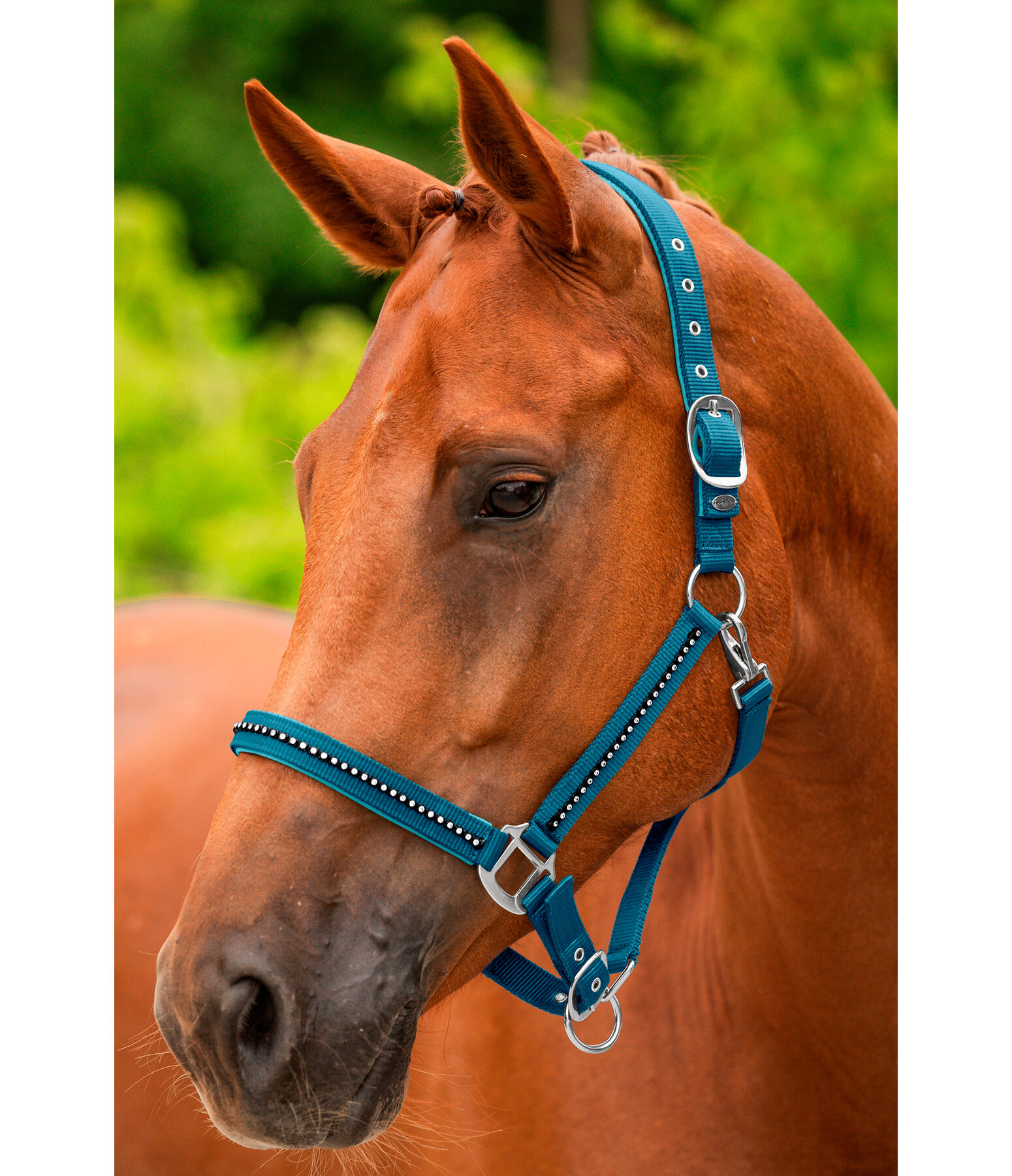 Headcollar Brilliant