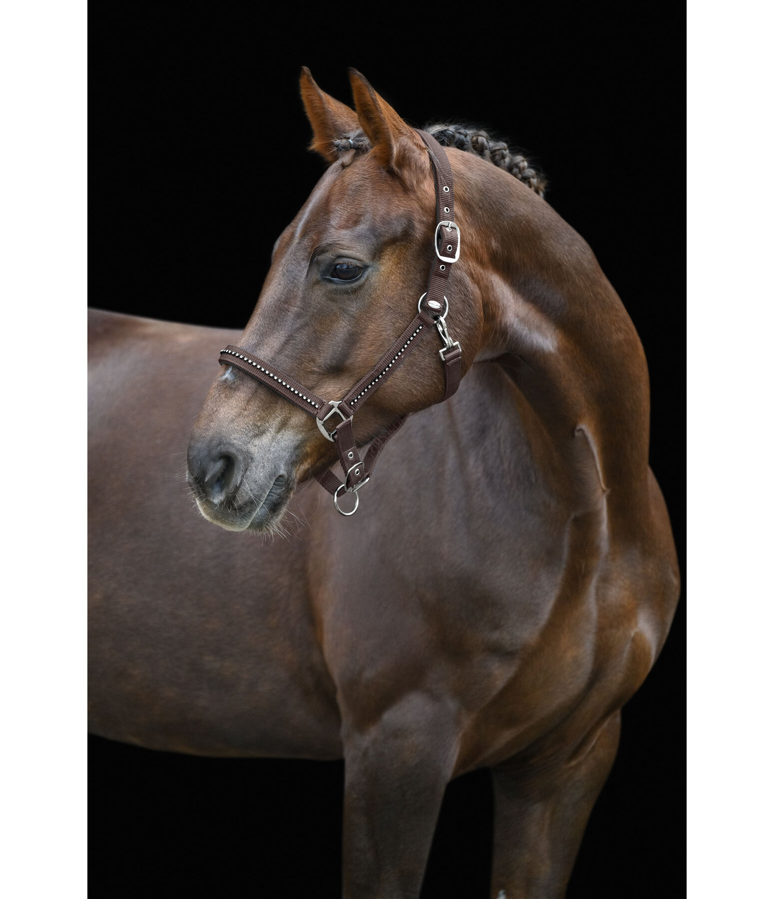 Headcollar Brilliant