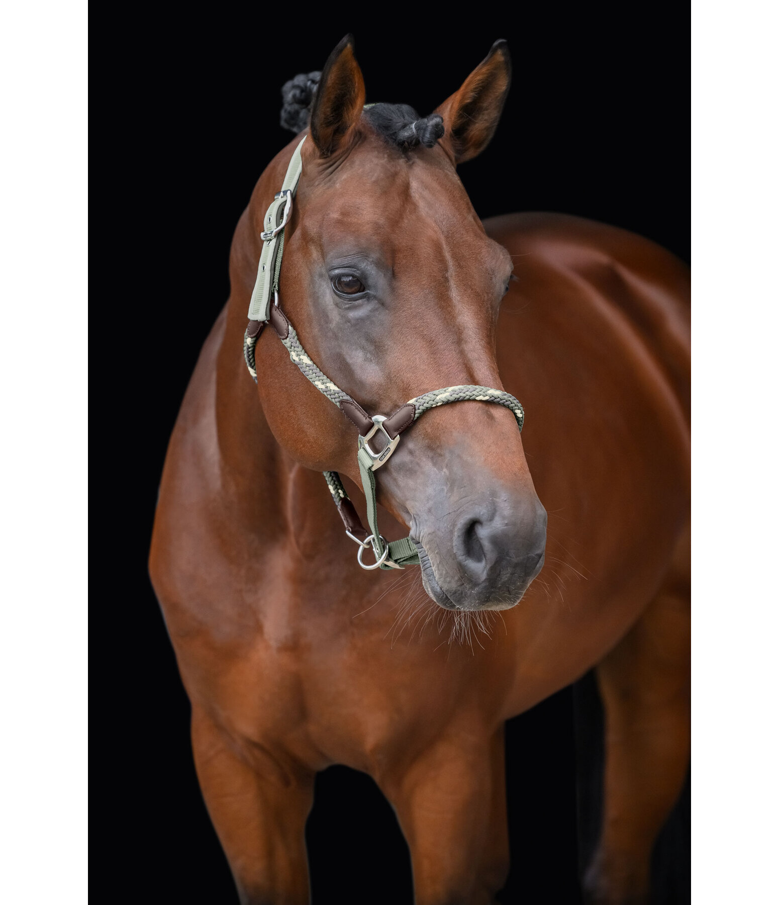 Anatomical Headcollar Sophistication
