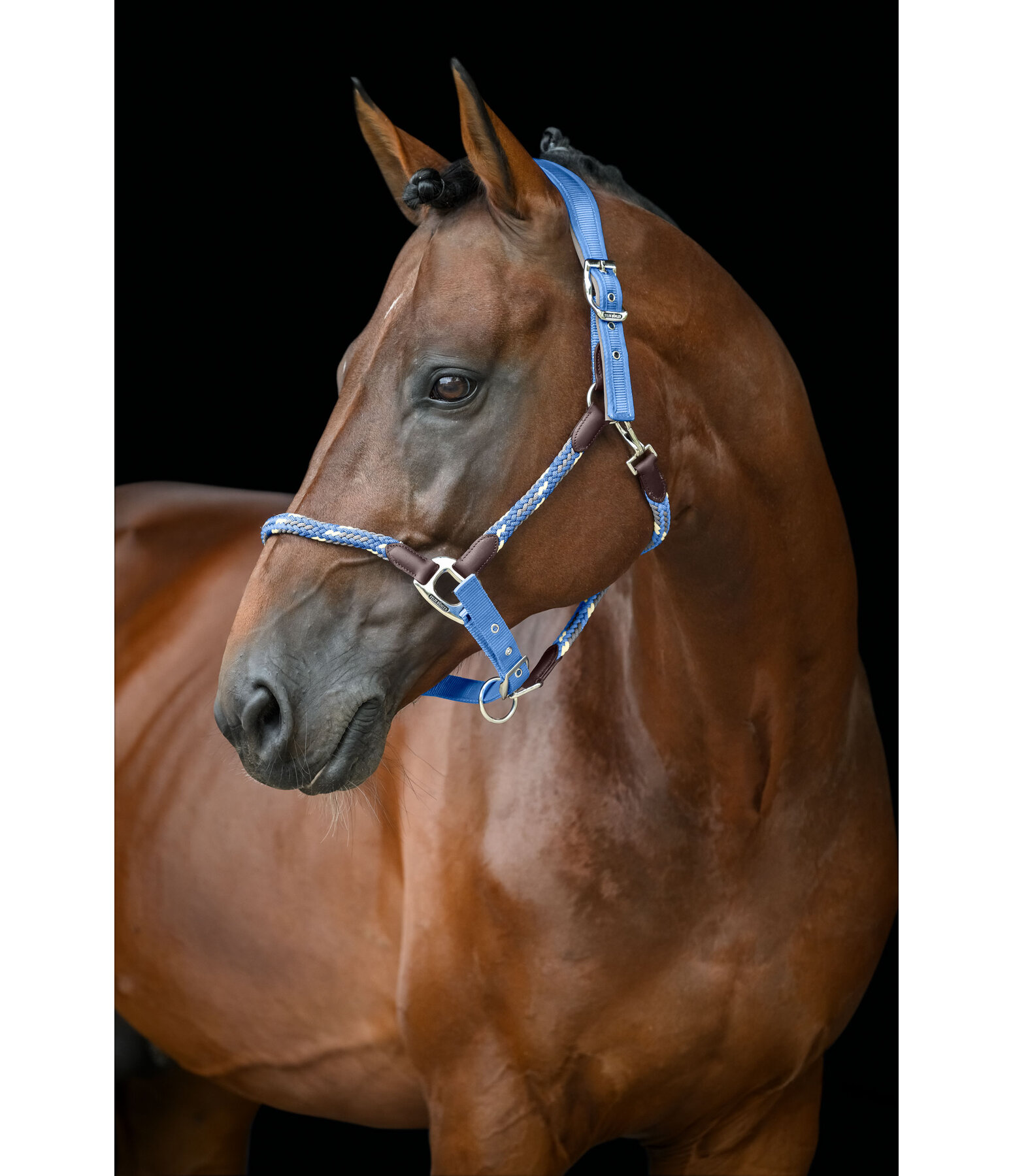 Anatomical Headcollar Sophistication