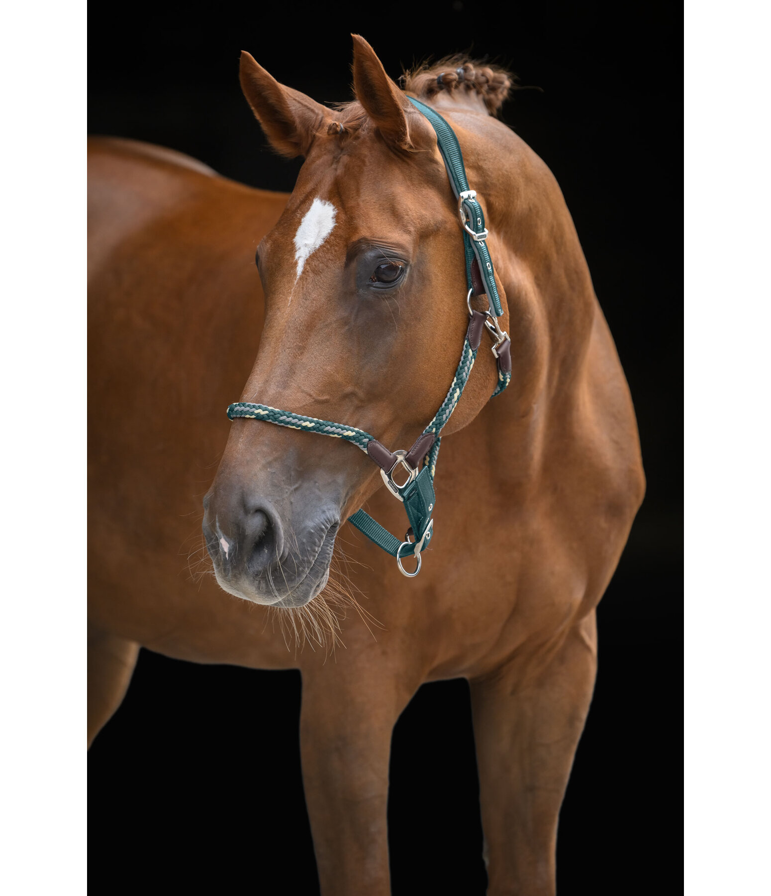 Anatomical Headcollar Sophistication