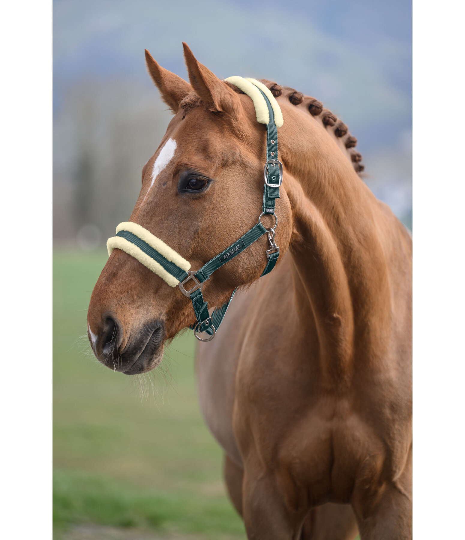 Headcollar Night Sky