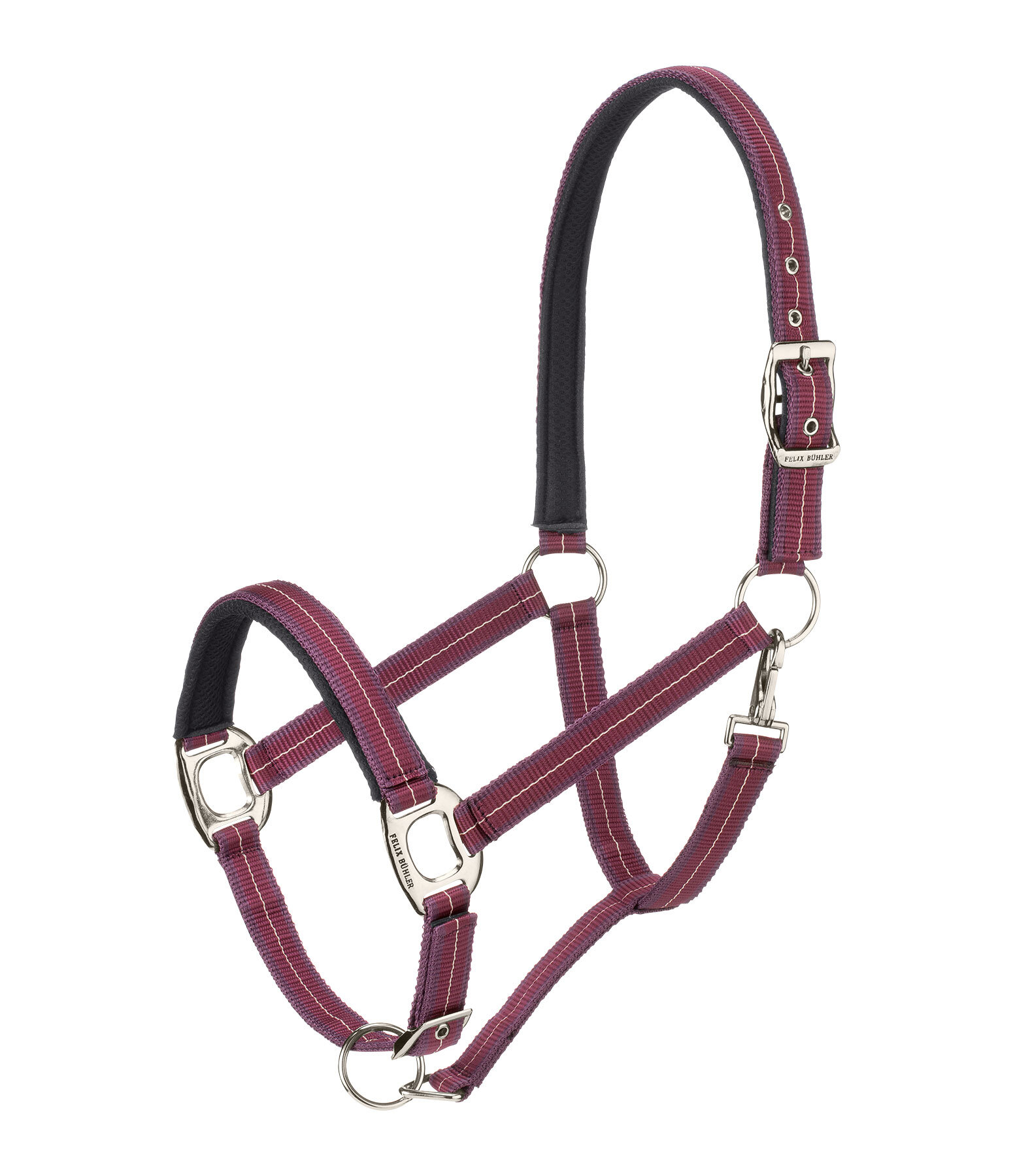 Headcollar Swiss Design II