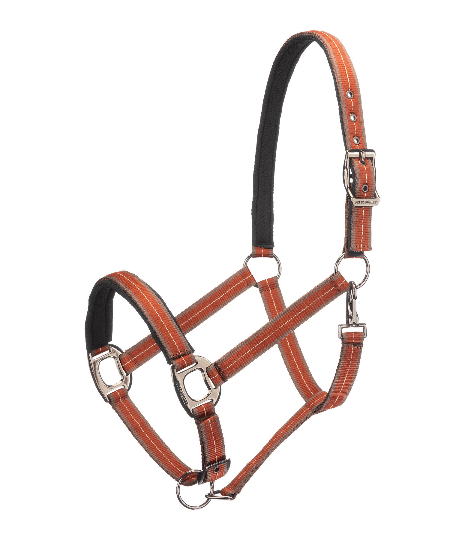 Headcollar Swiss Design II
