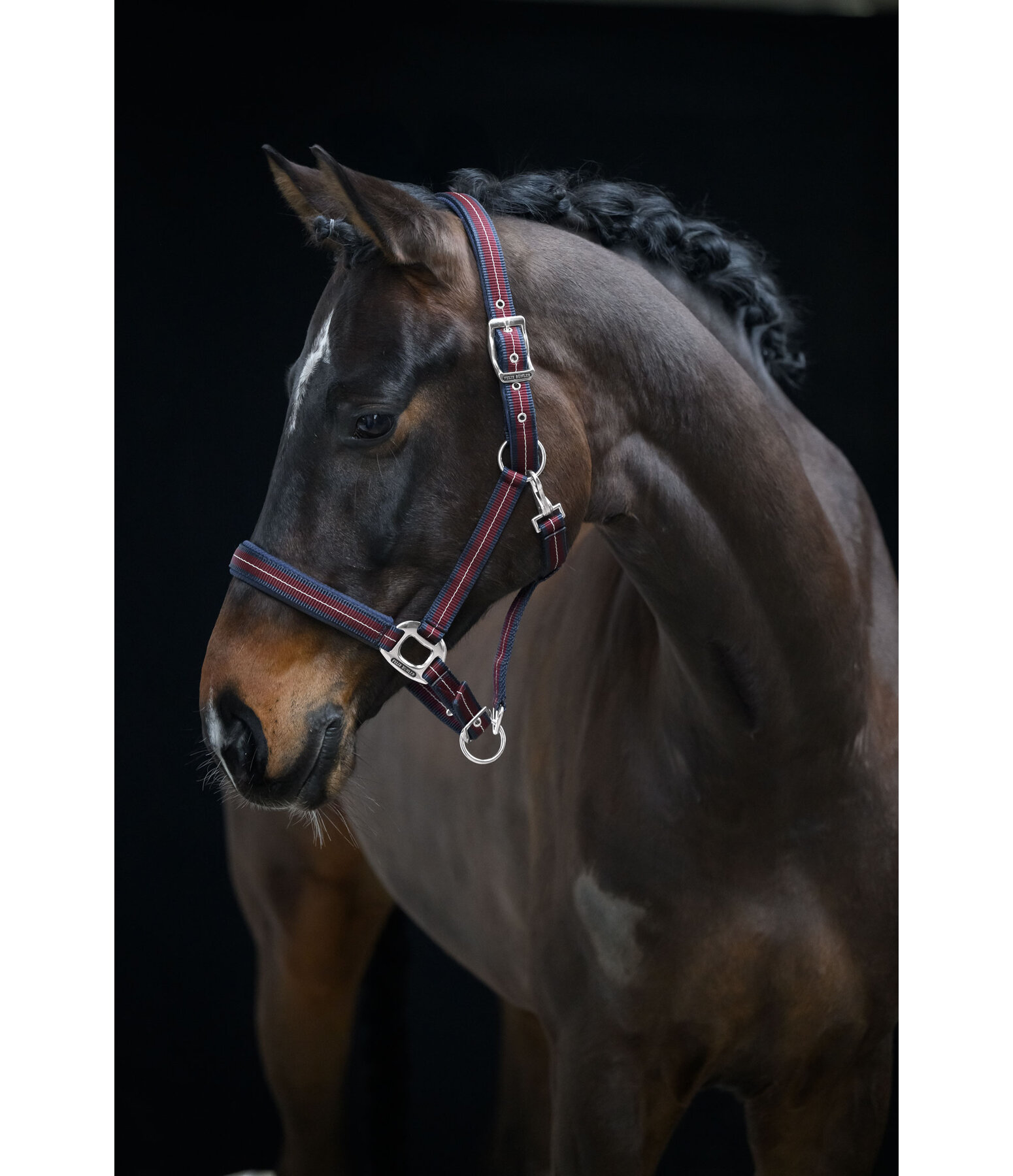 Headcollar Swiss Design II