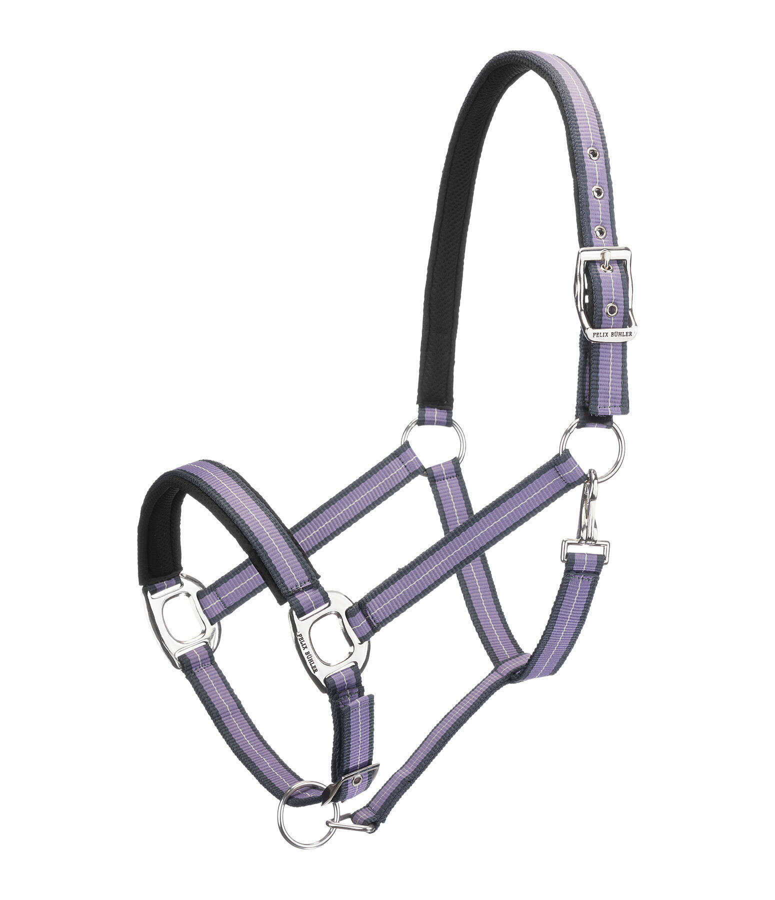 Headcollar Swiss Design II