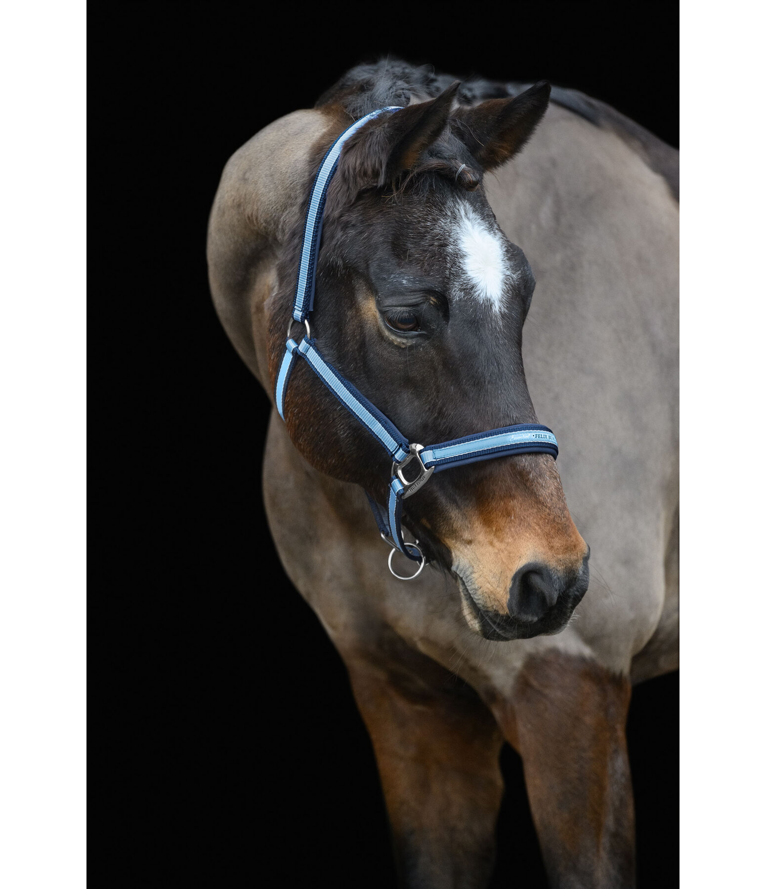 Headcollar Essential II