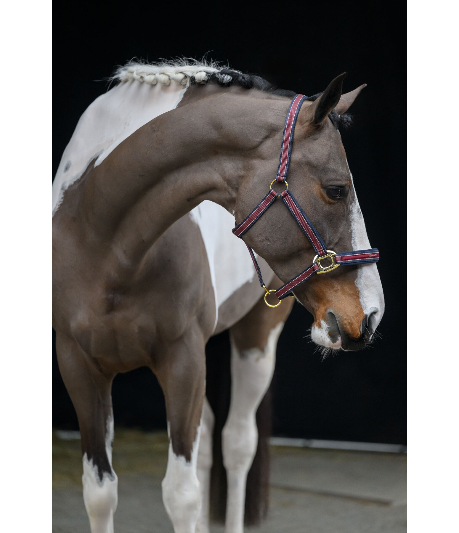 Headcollar Essential II