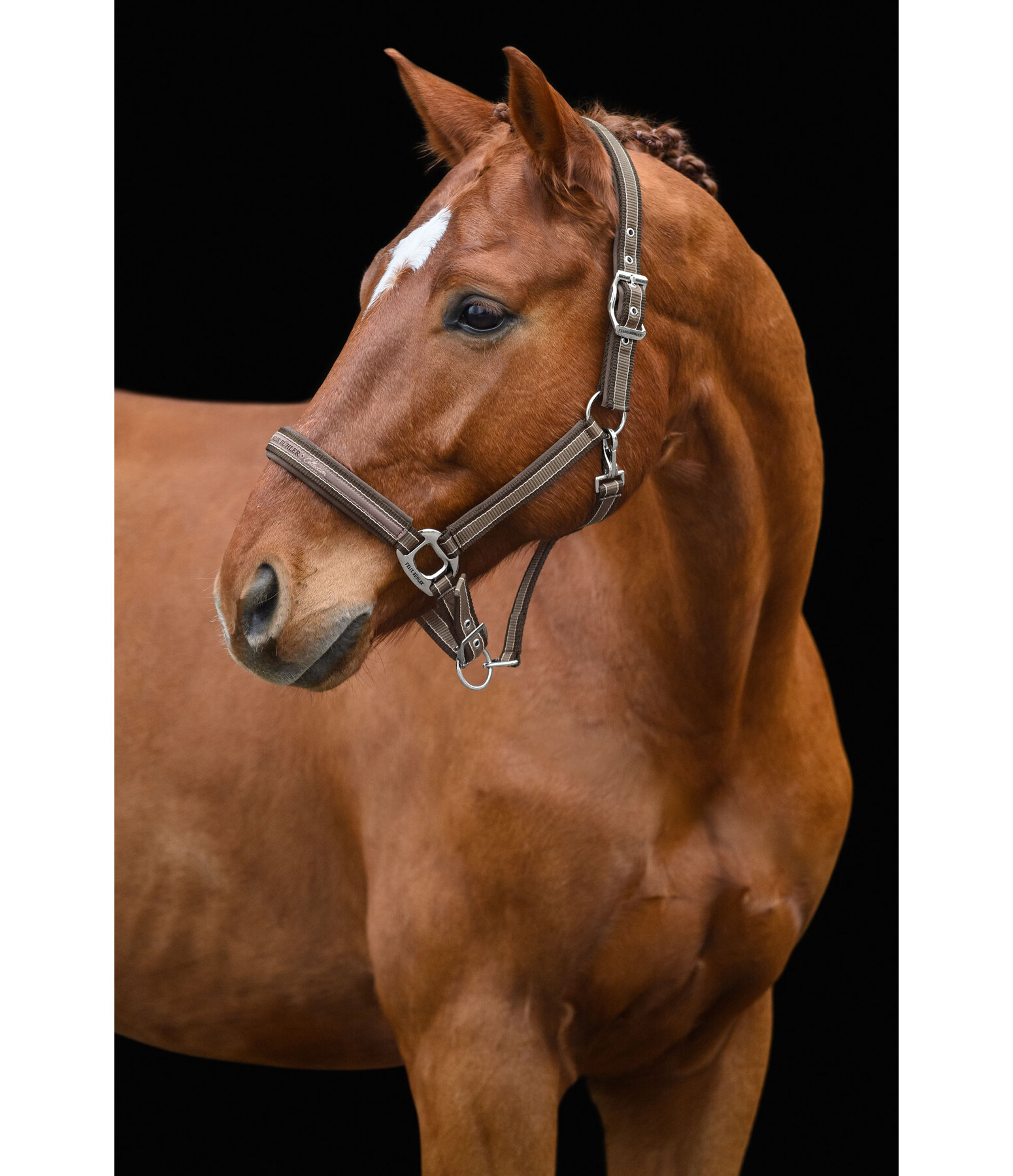 Headcollar Essential II