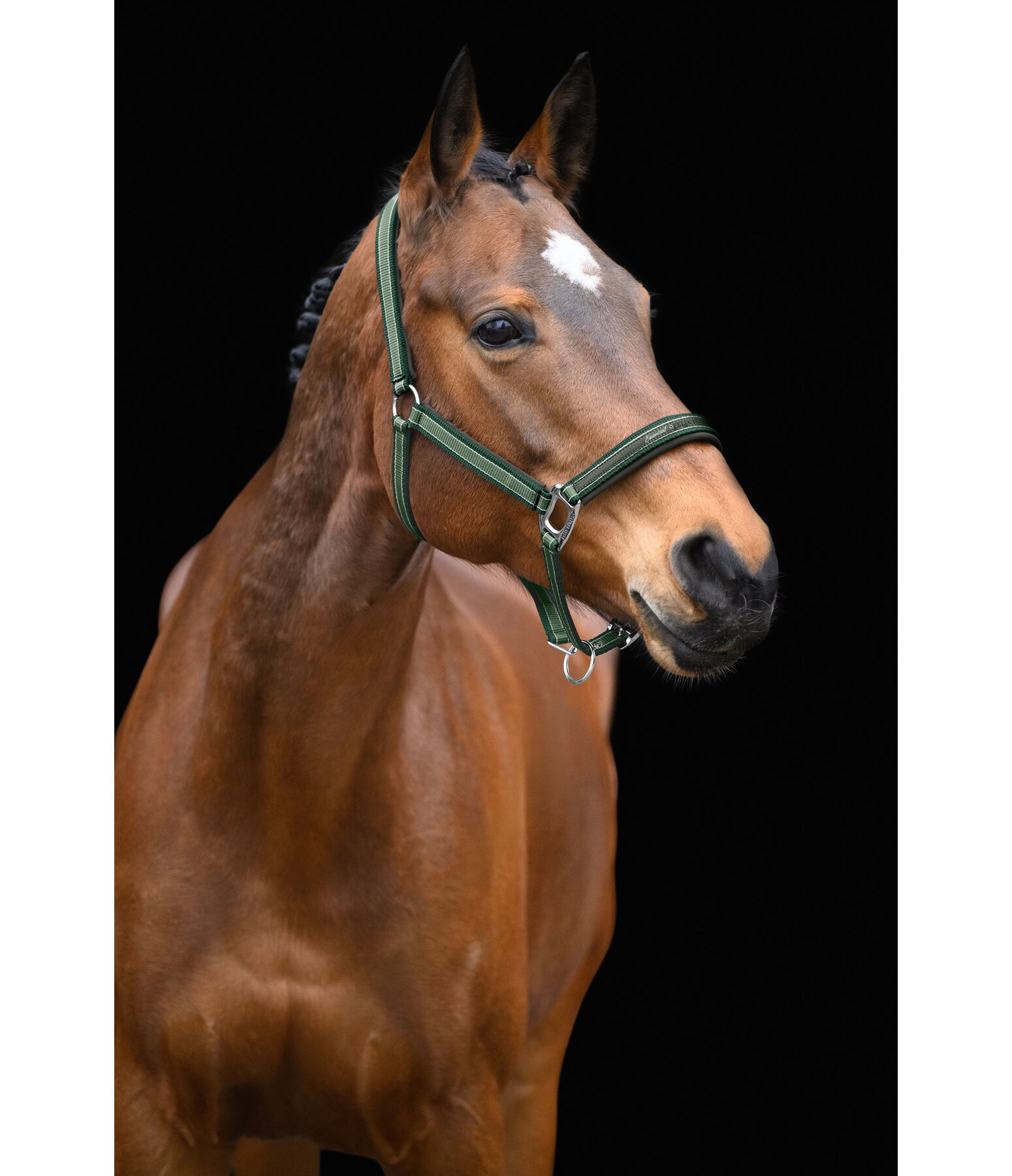 Headcollar Essential II