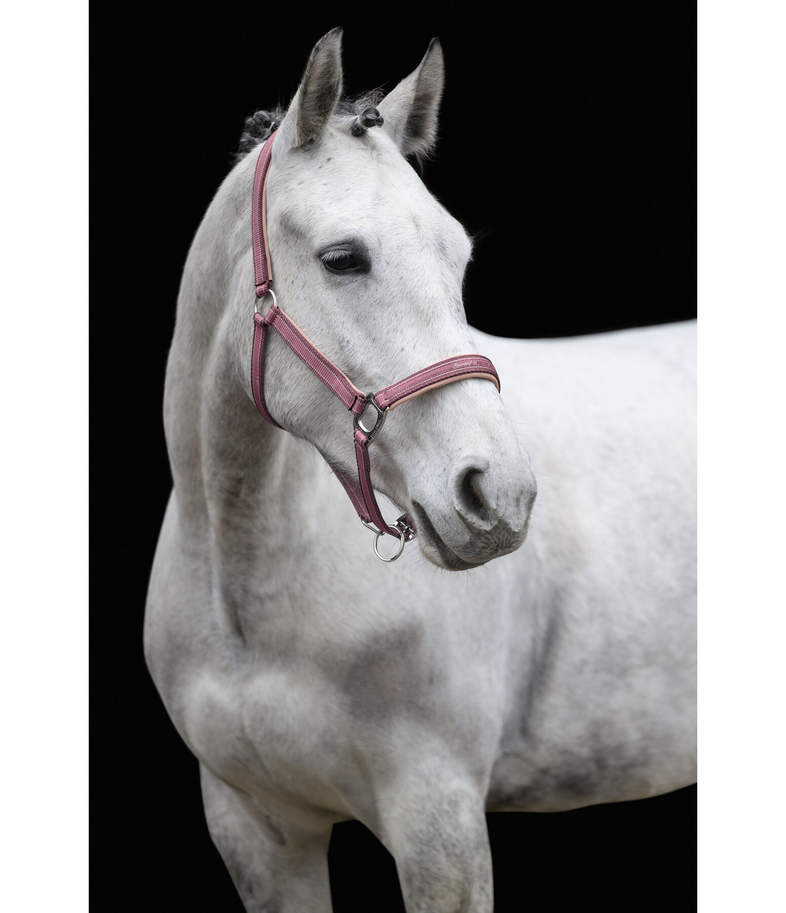 Headcollar Essential II