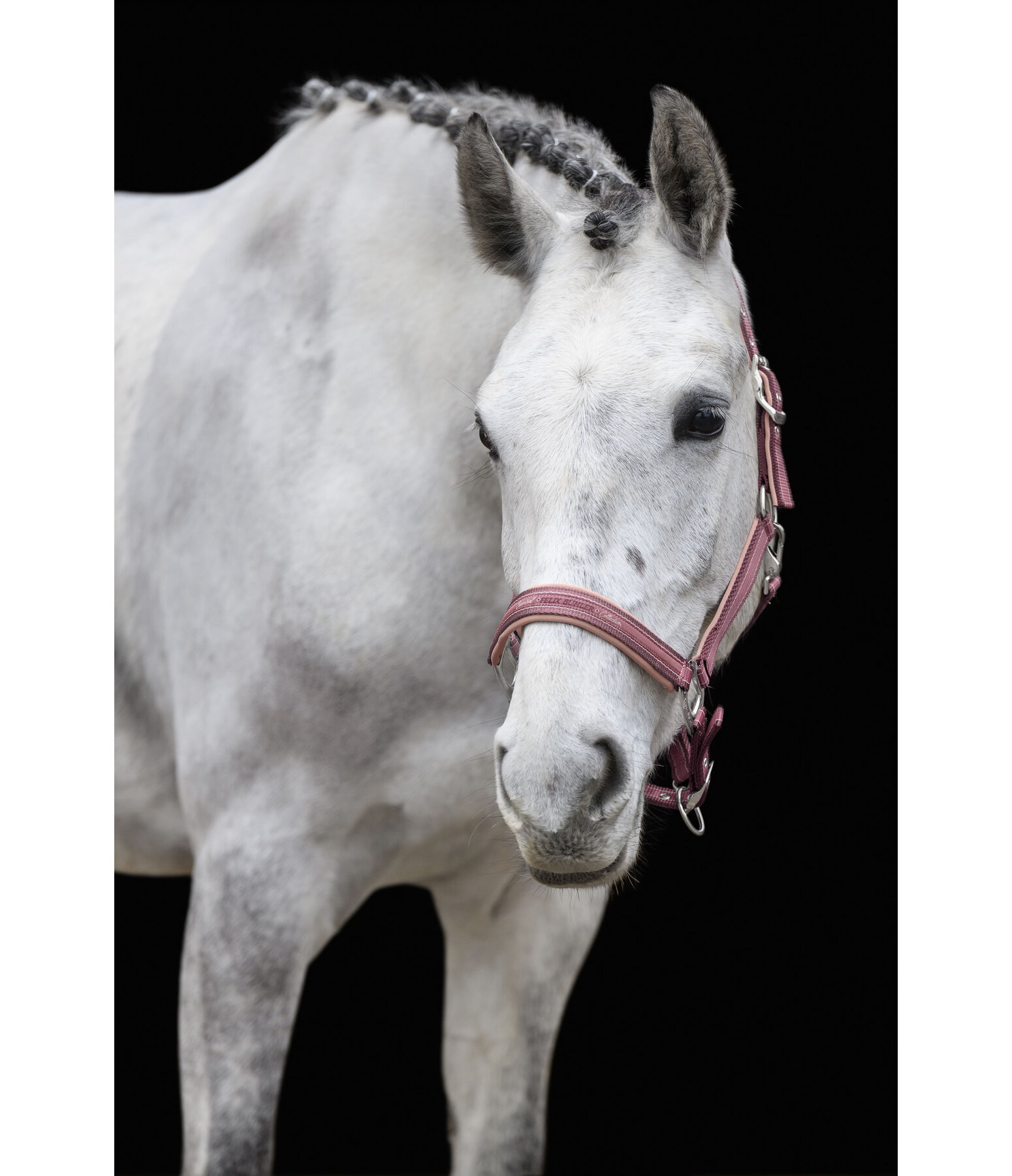 Headcollar Essential II