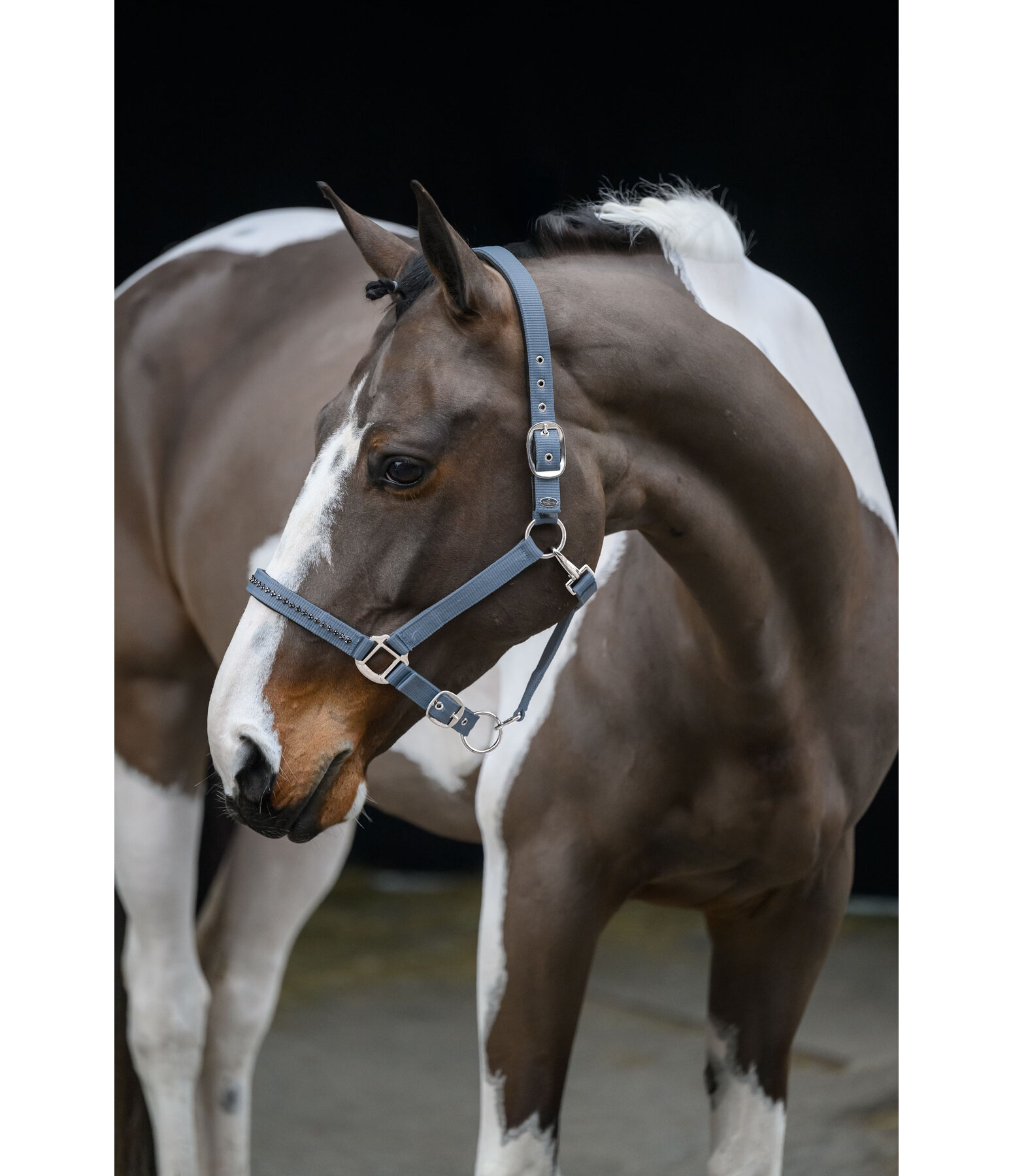Headcollar Twinkle Moments