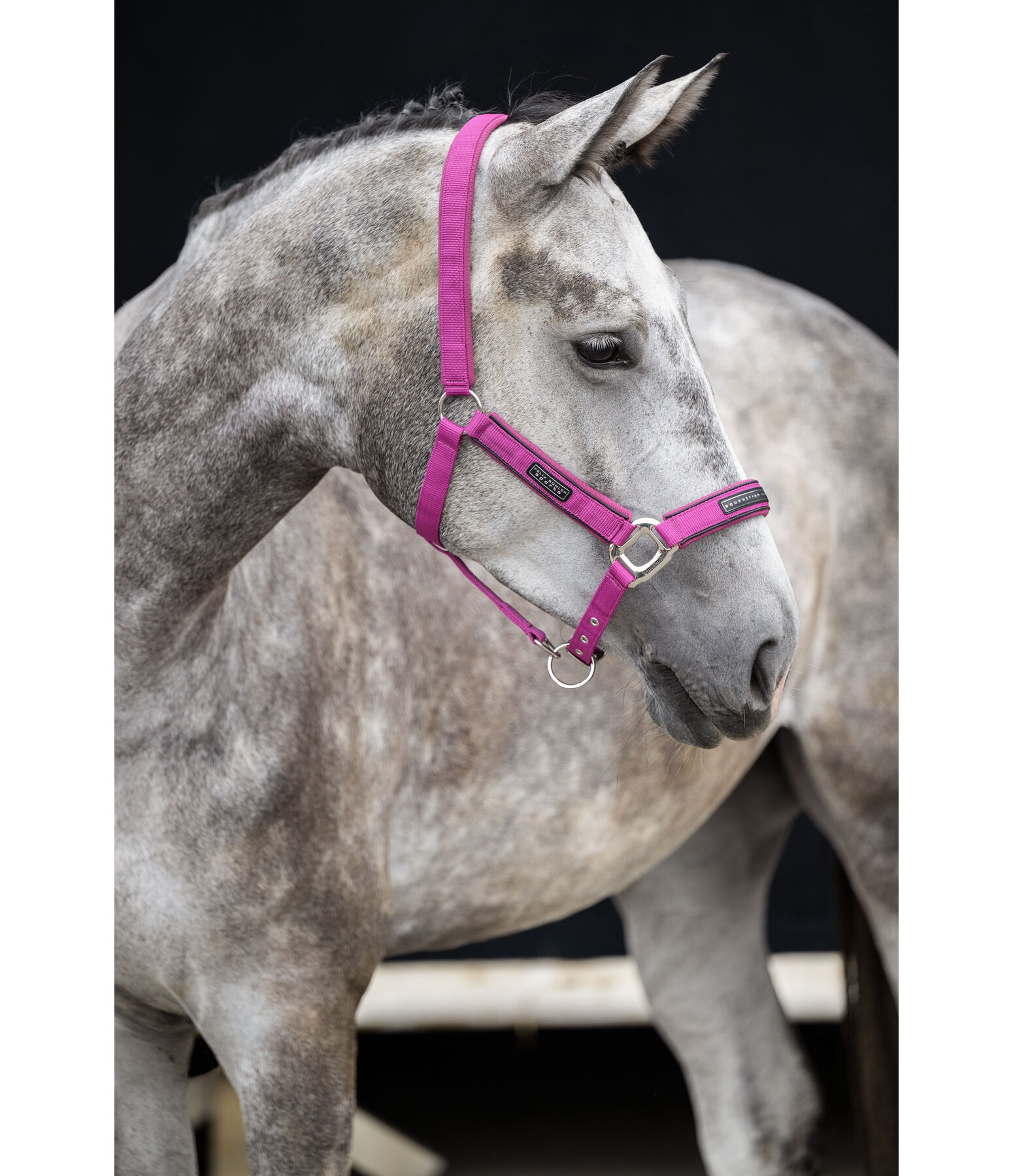 Headcollar Mesh Technology