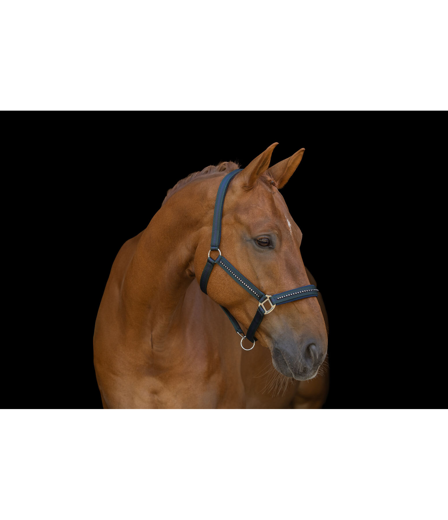 Headcollar Twotone & Crystal