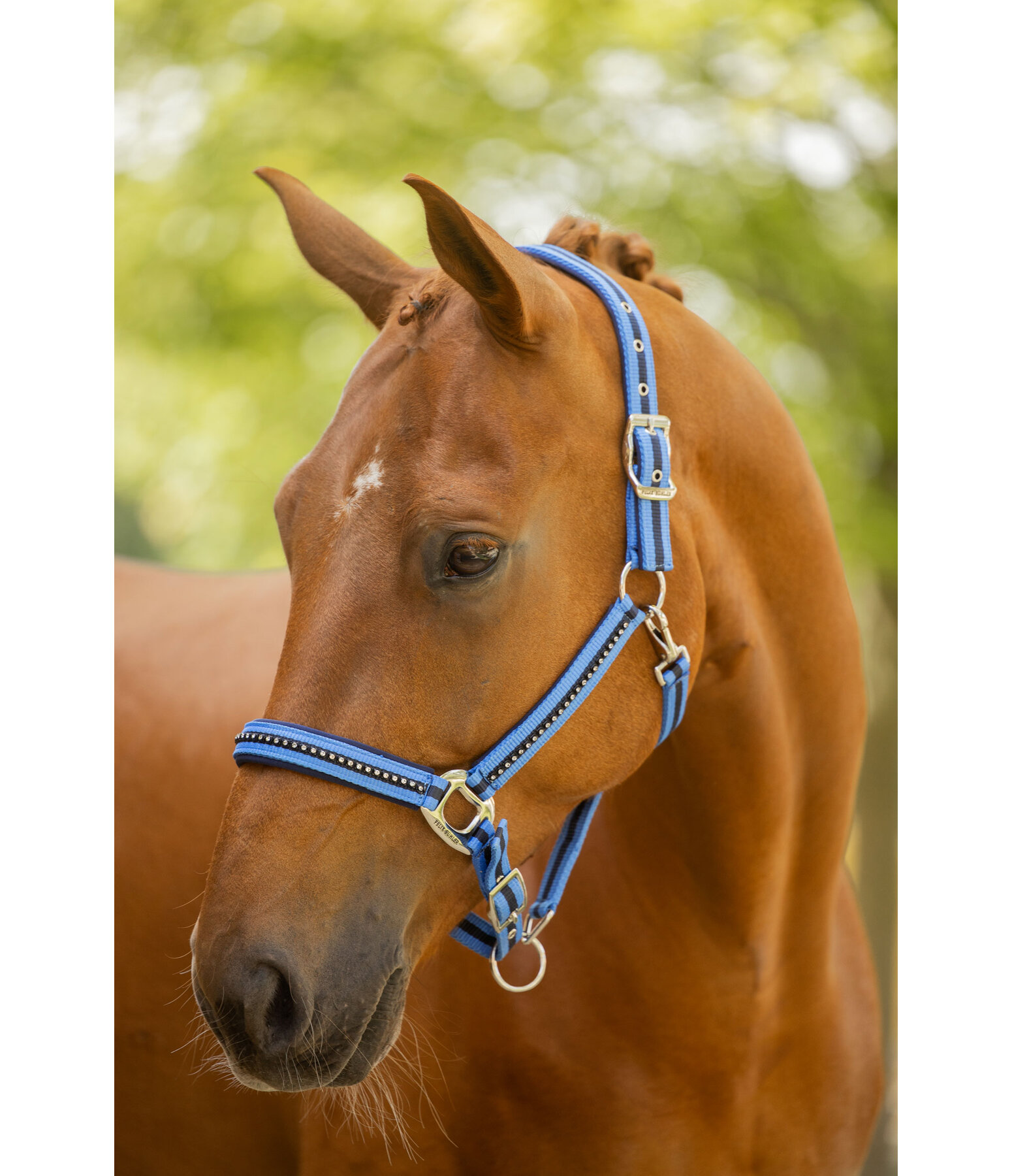 Headcollar Twotone & Crystal