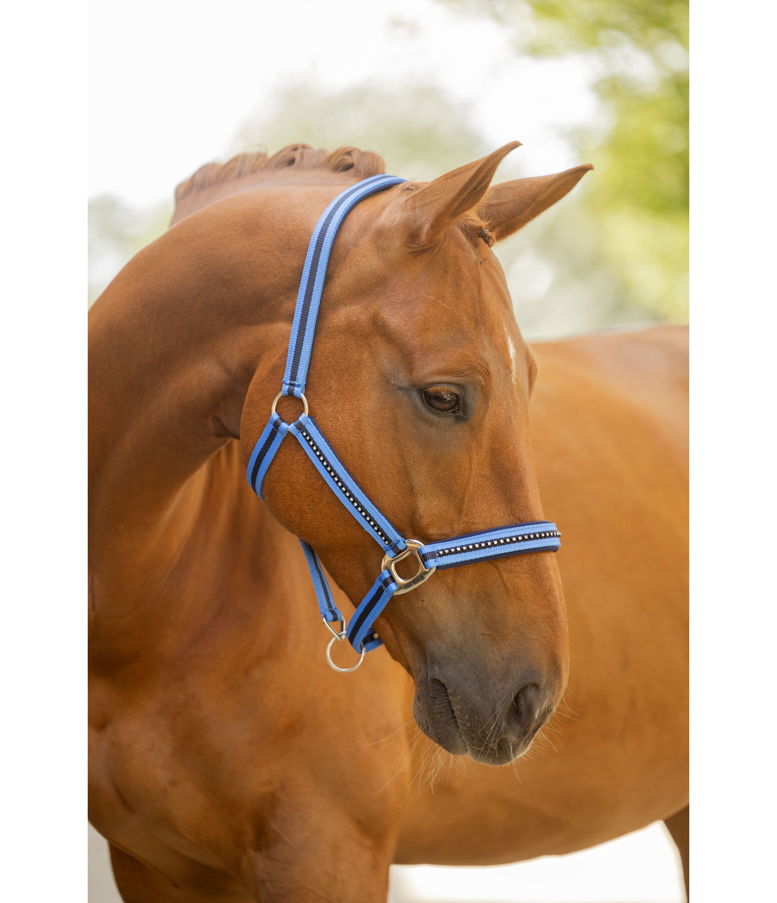 Headcollar Twotone & Crystal