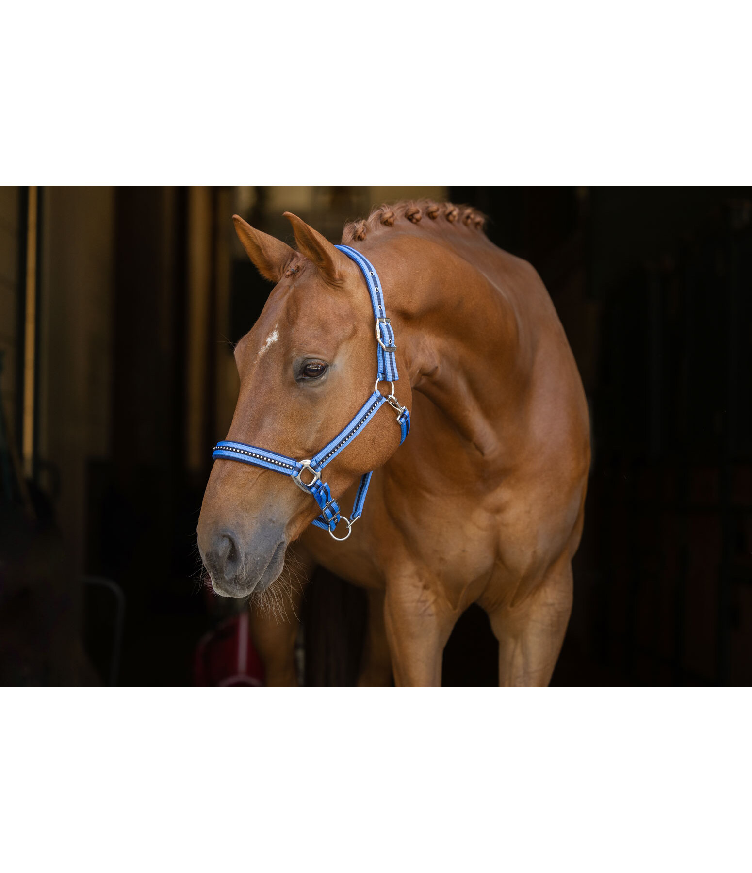 Headcollar Twotone & Crystal