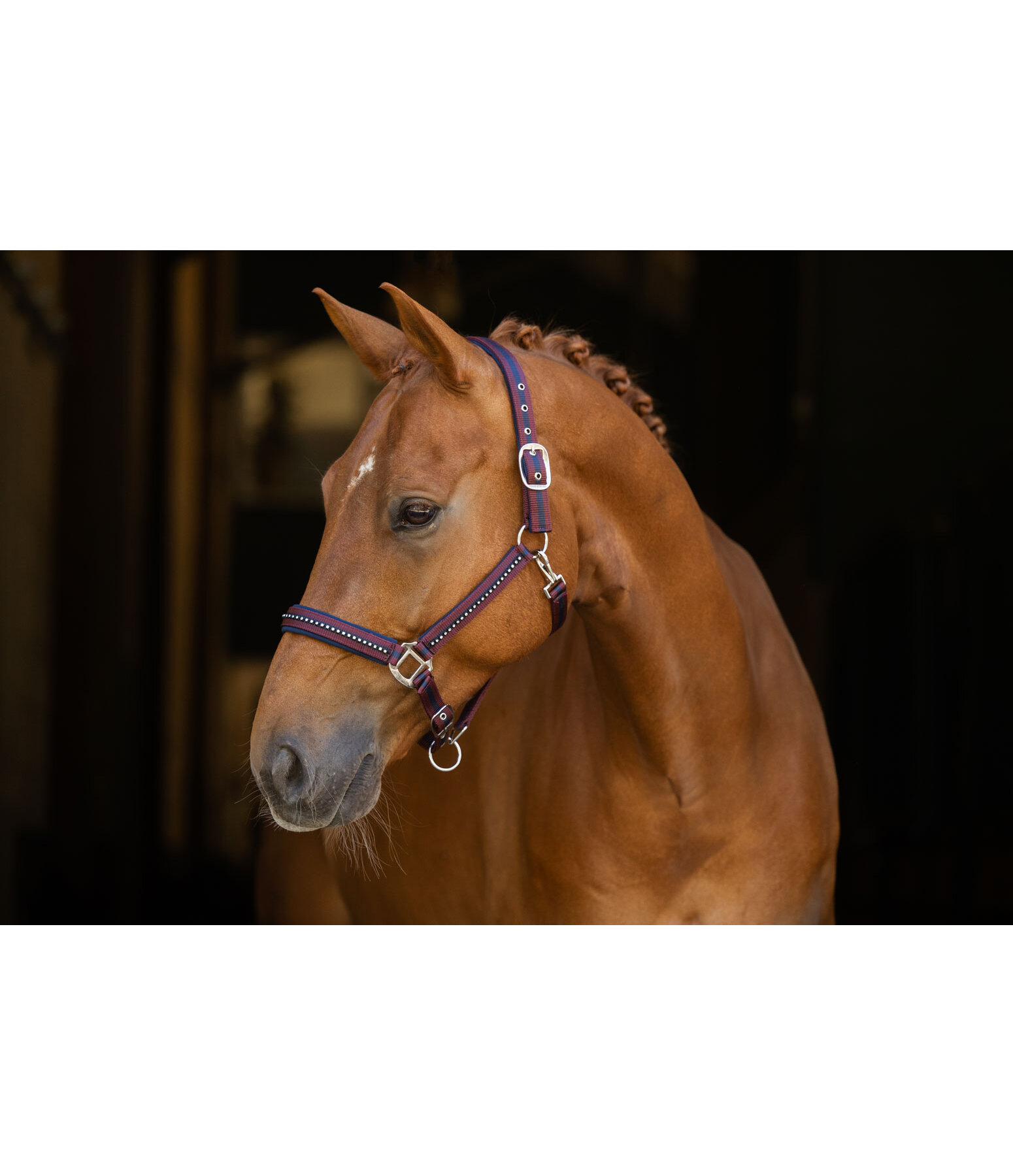 Headcollar Twotone & Crystal