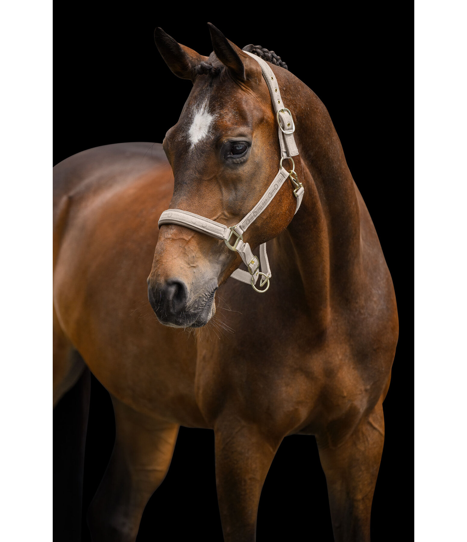 Headcollar Signature III