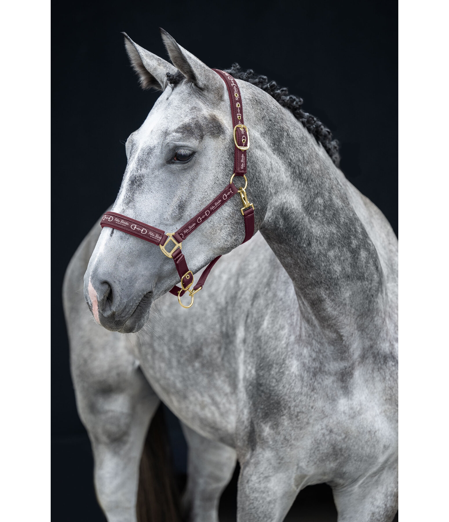Headcollar Signature III