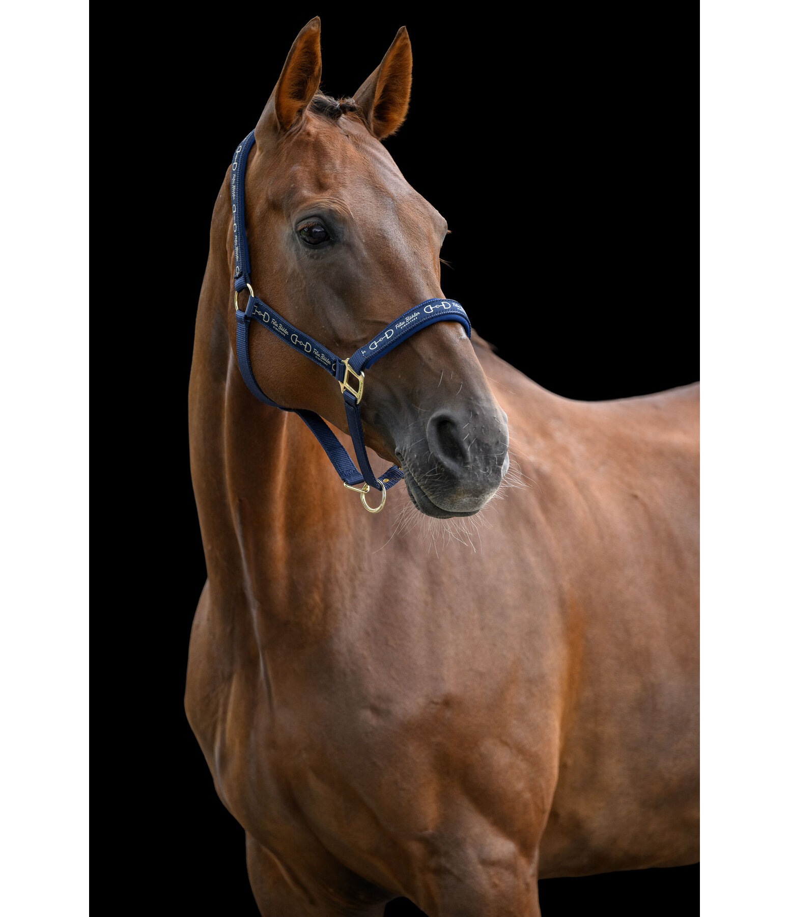 Headcollar Signature III