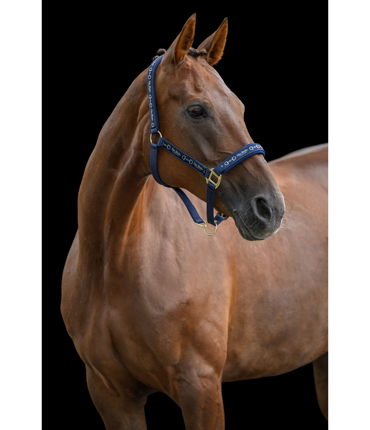 Headcollar Signature III