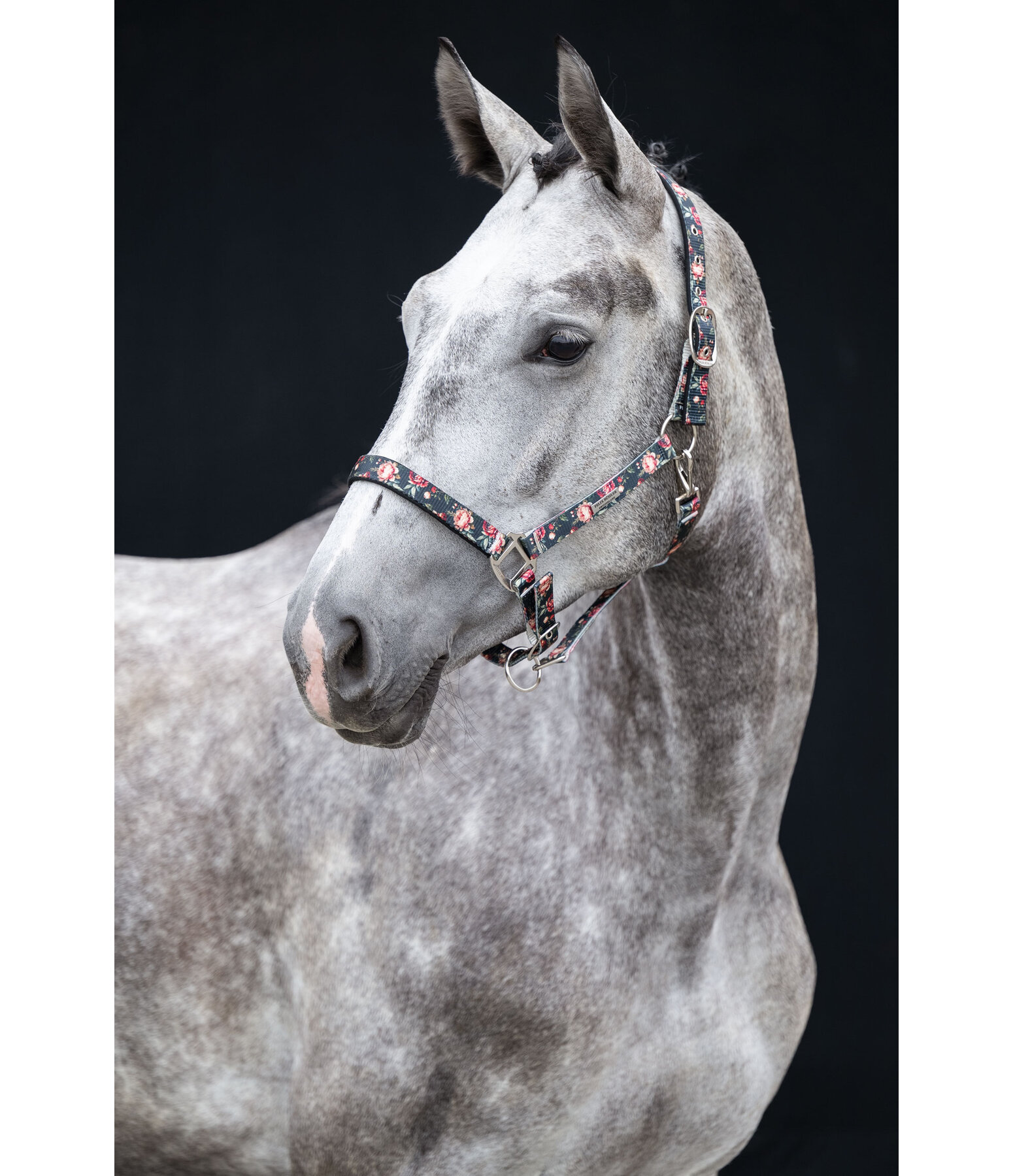 Headcollar Flowers
