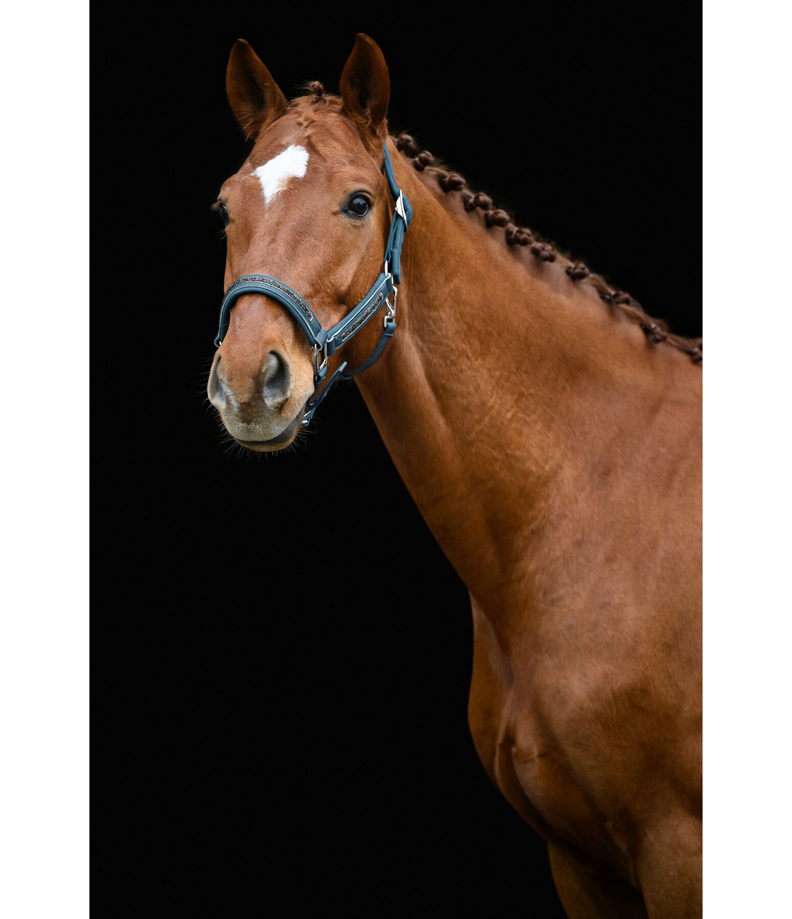 Headcollar Glitter Stone
