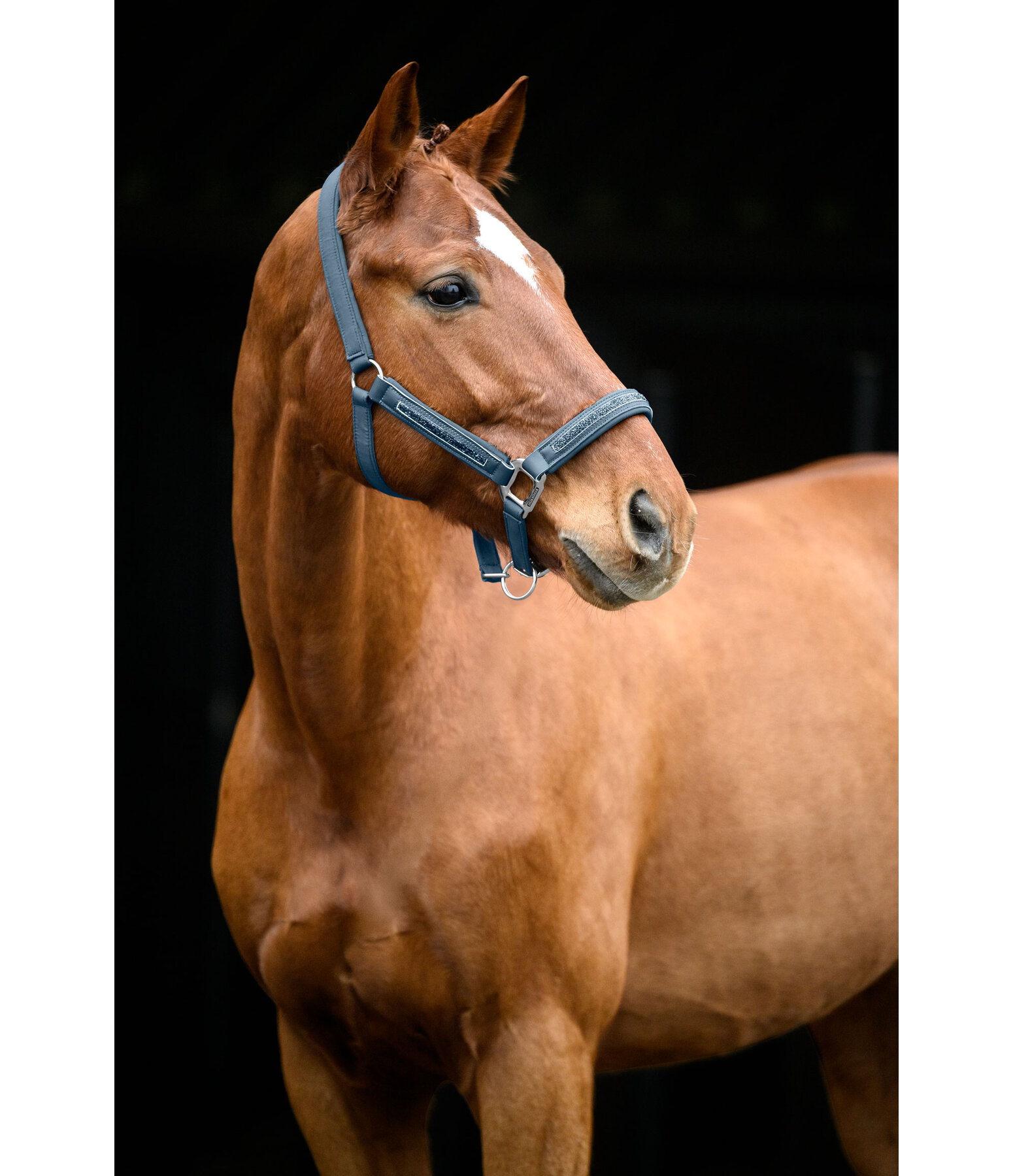 Headcollar Glitter Stone