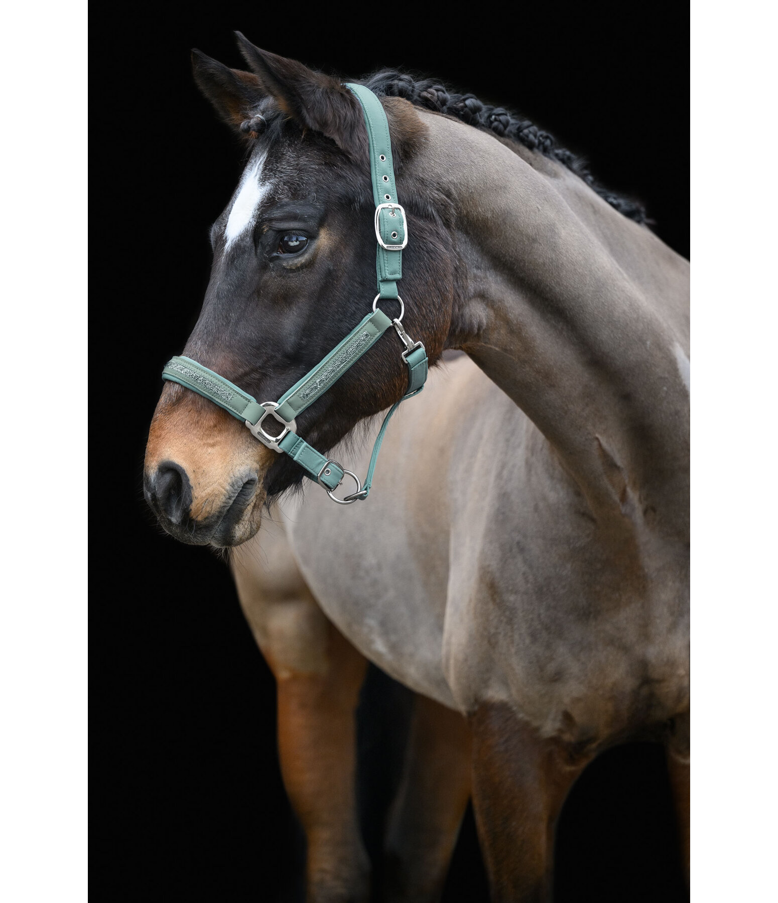 Headcollar Glitter Stone