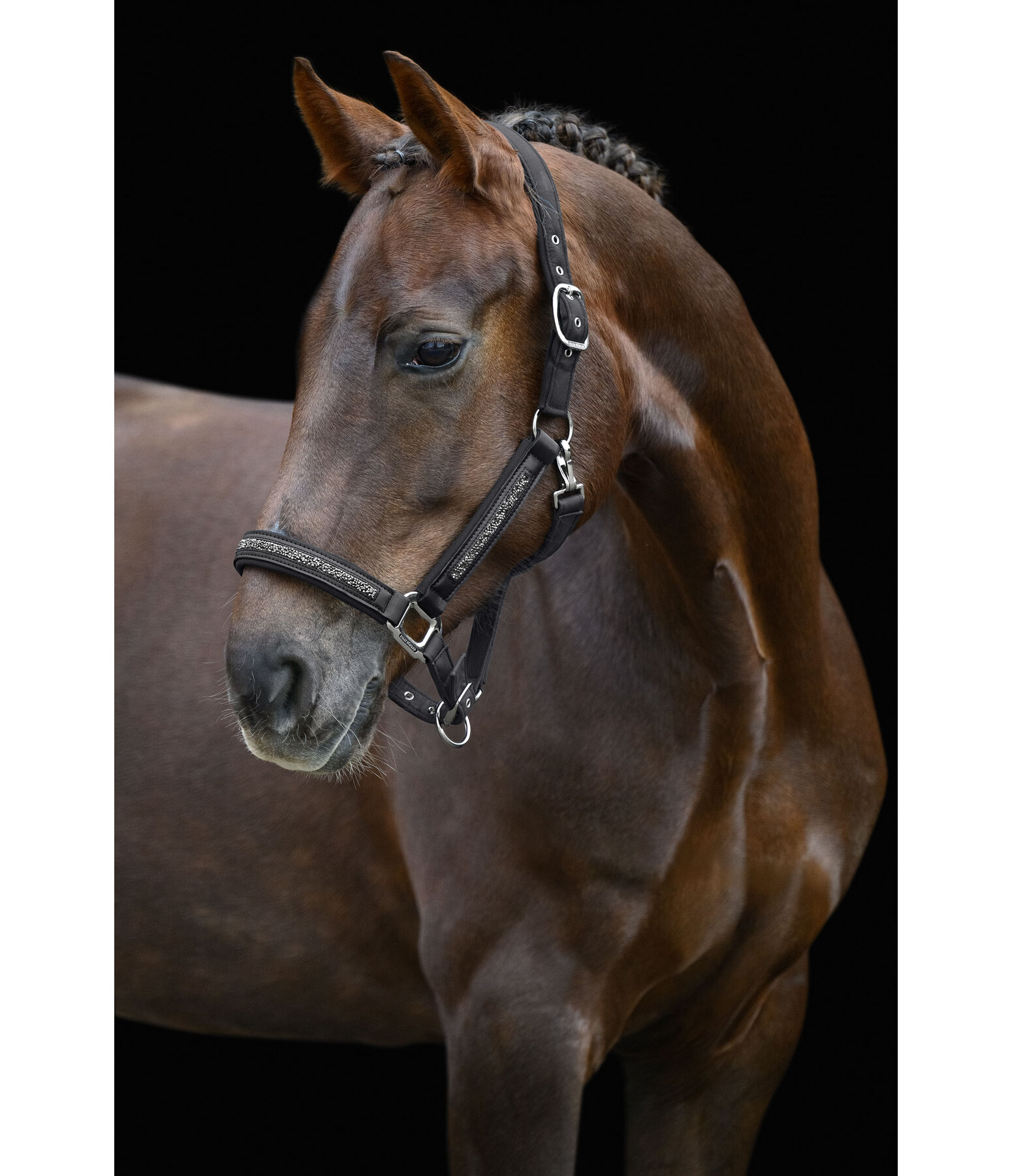 Headcollar Glitter Stone